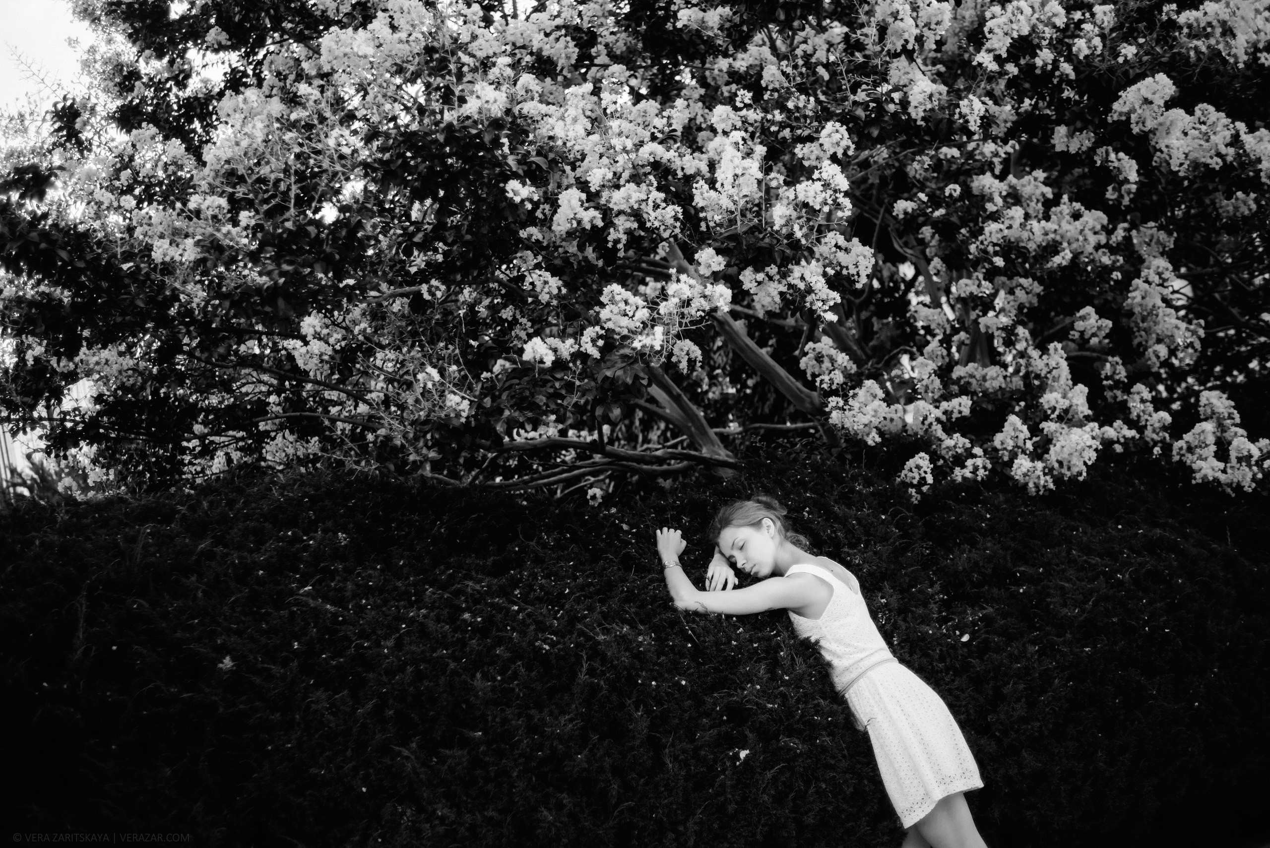 Творческие съемки. Фотограф в Санкт-Петербурге (портрет, индивидуальные, творческие съемки, каталог)