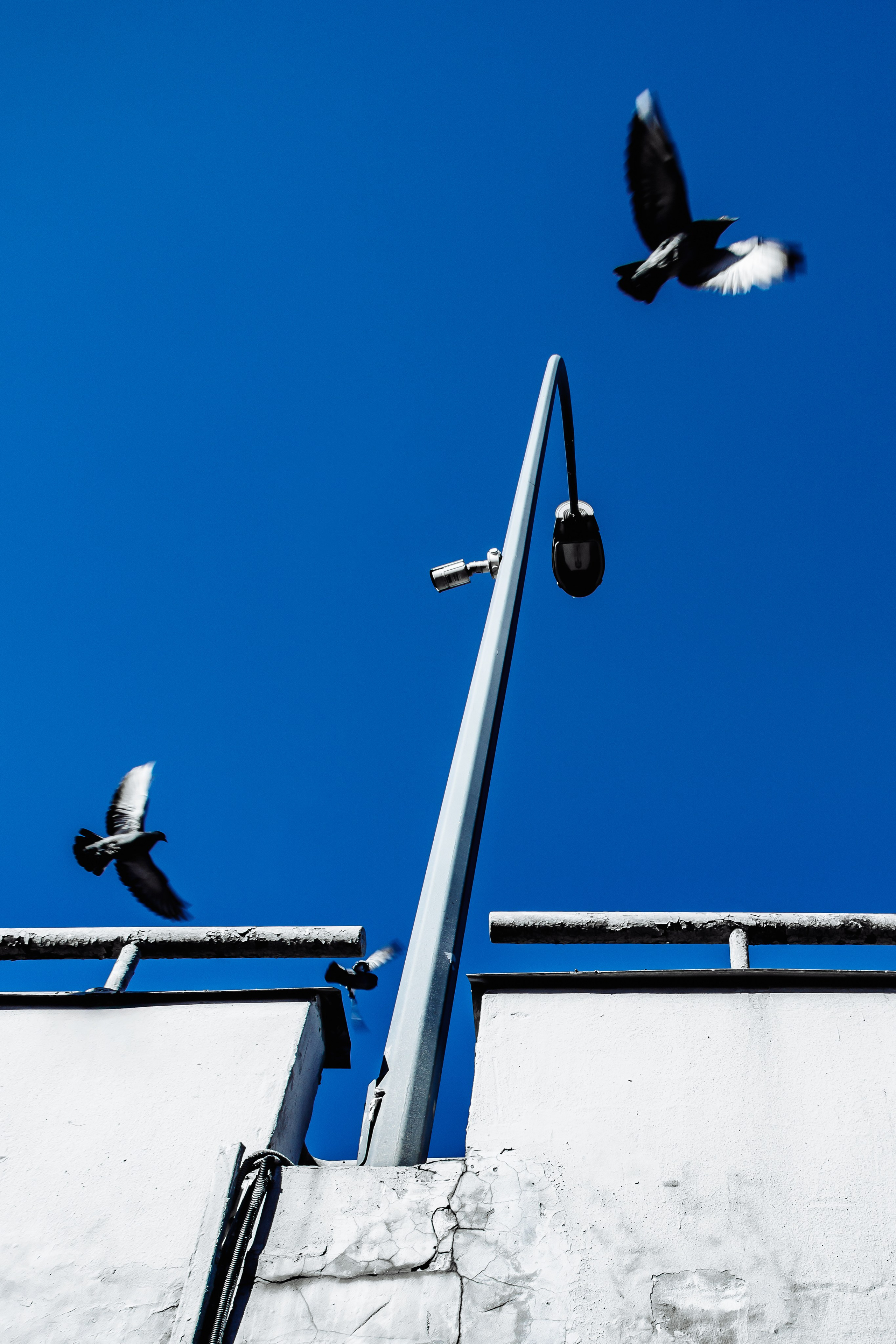 Автор: Борис Грибанов