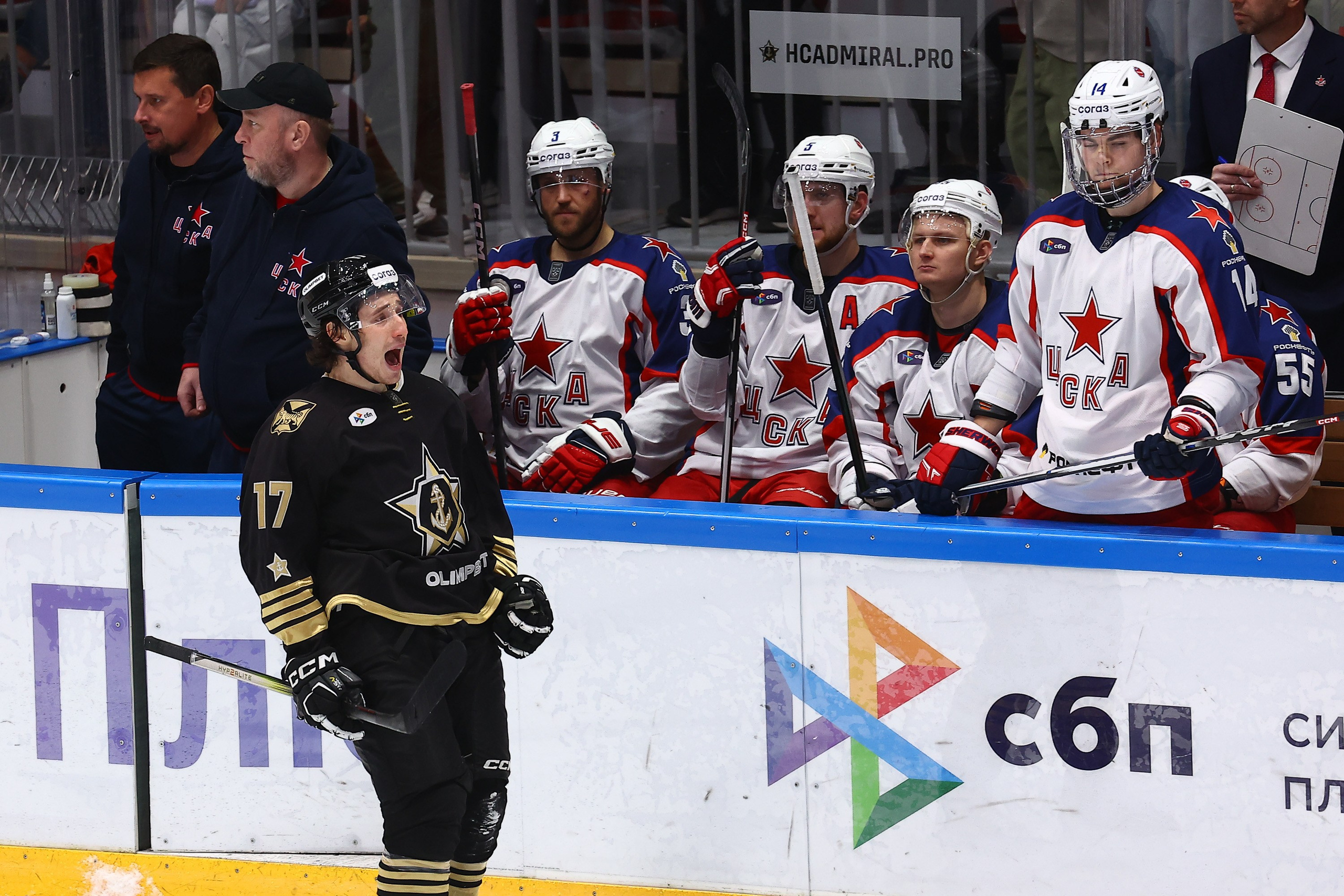 «Адмирал» сезон 2024/2025. Репортажный фотограф во Владивостоке