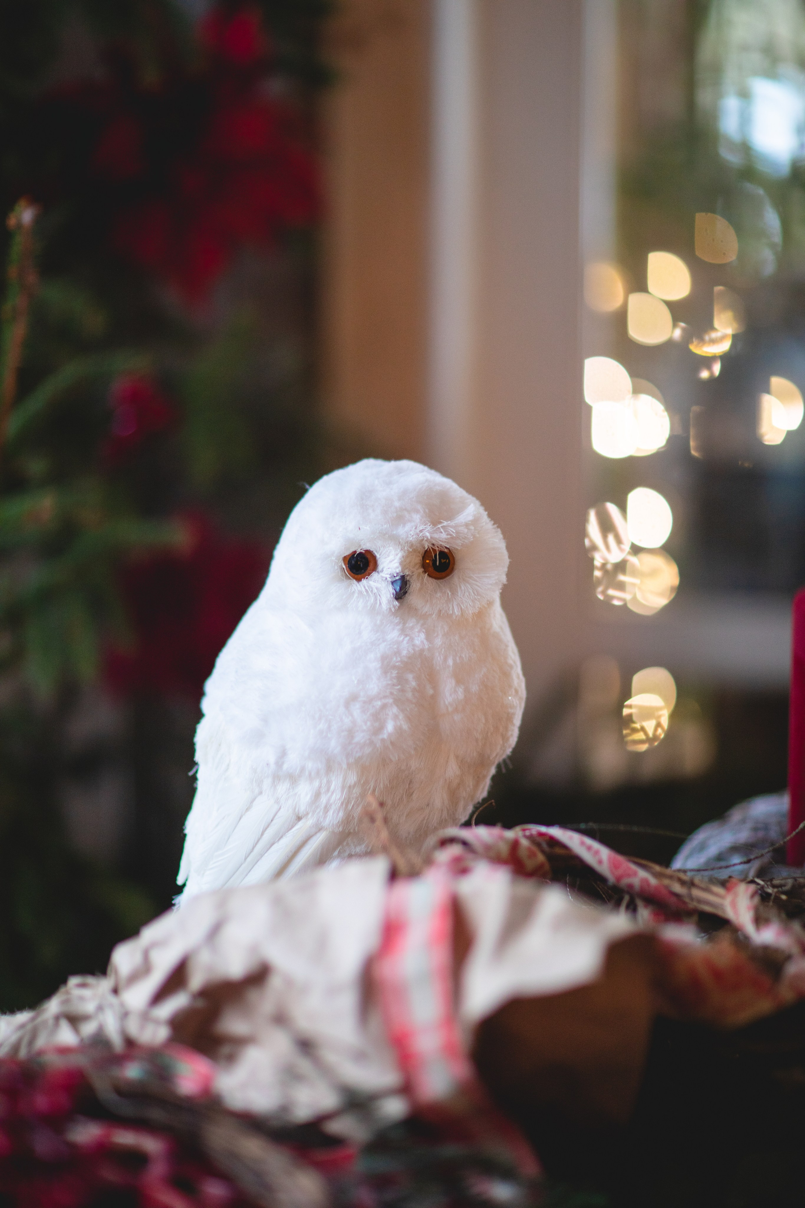 Домик в лесу. Семейный фотограф в Москве Анастасия Гурьянова