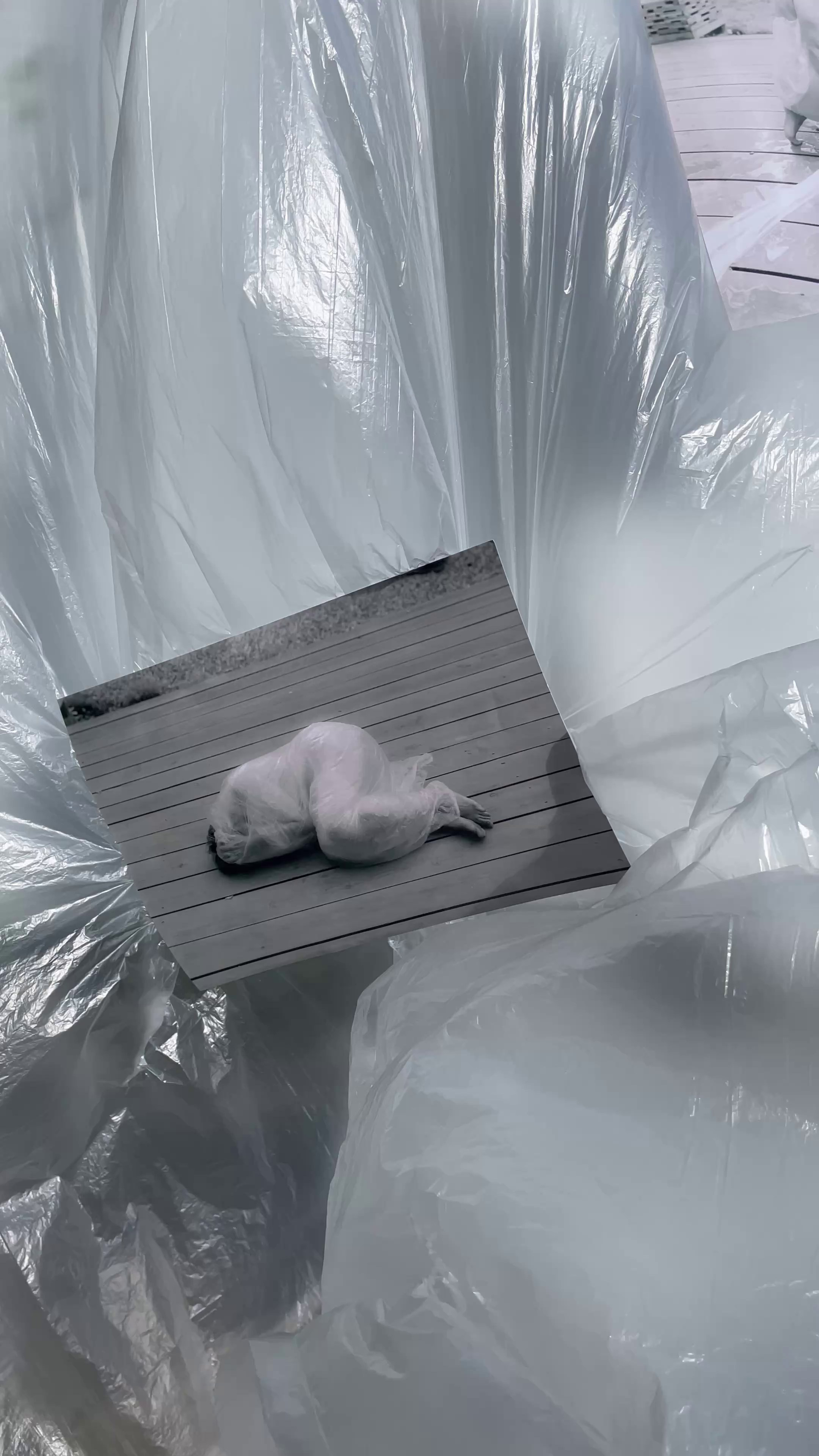 Персональные выставки. Визуальный художник Лиана Даренская, Москва