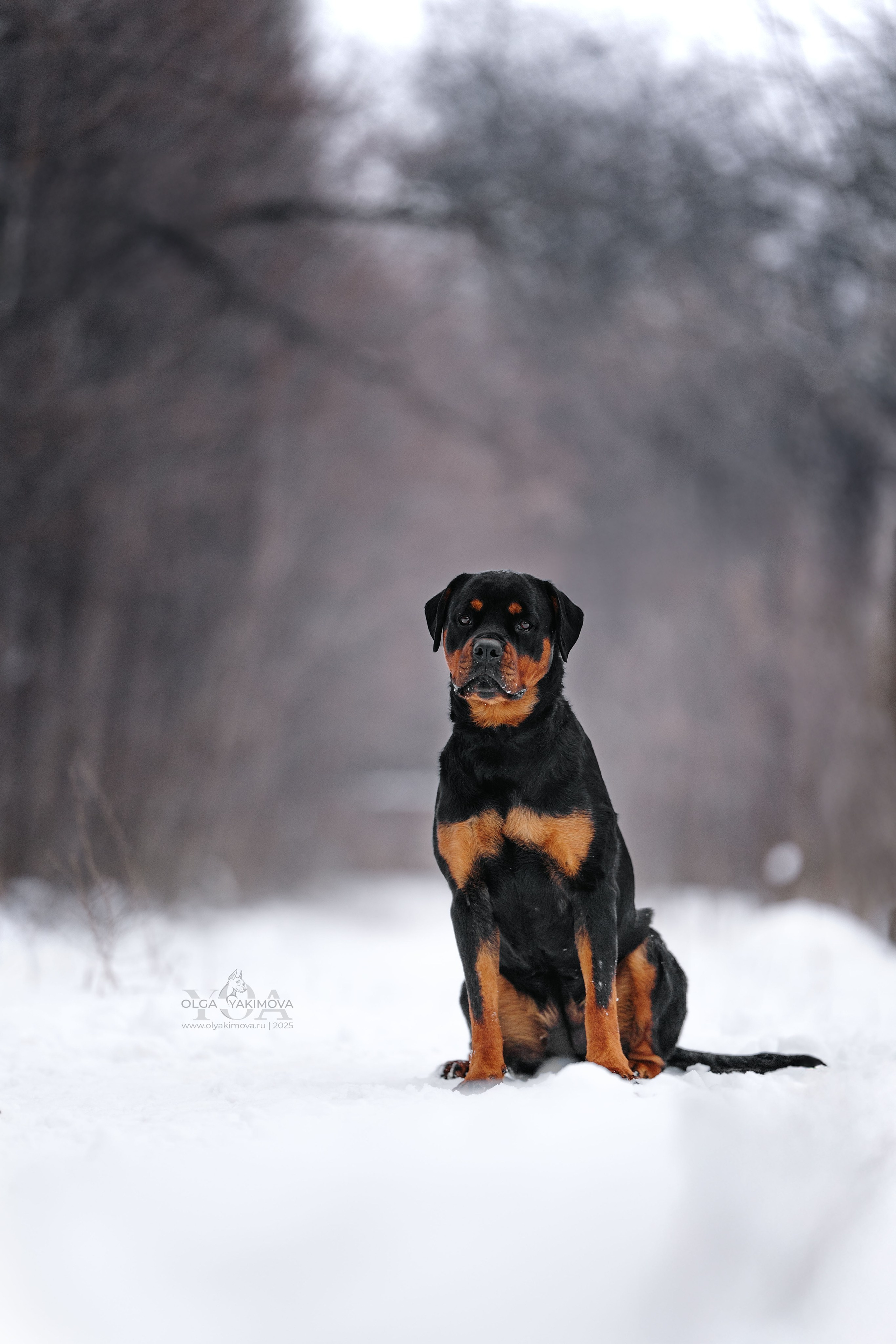 Экстерьер. Фотограф