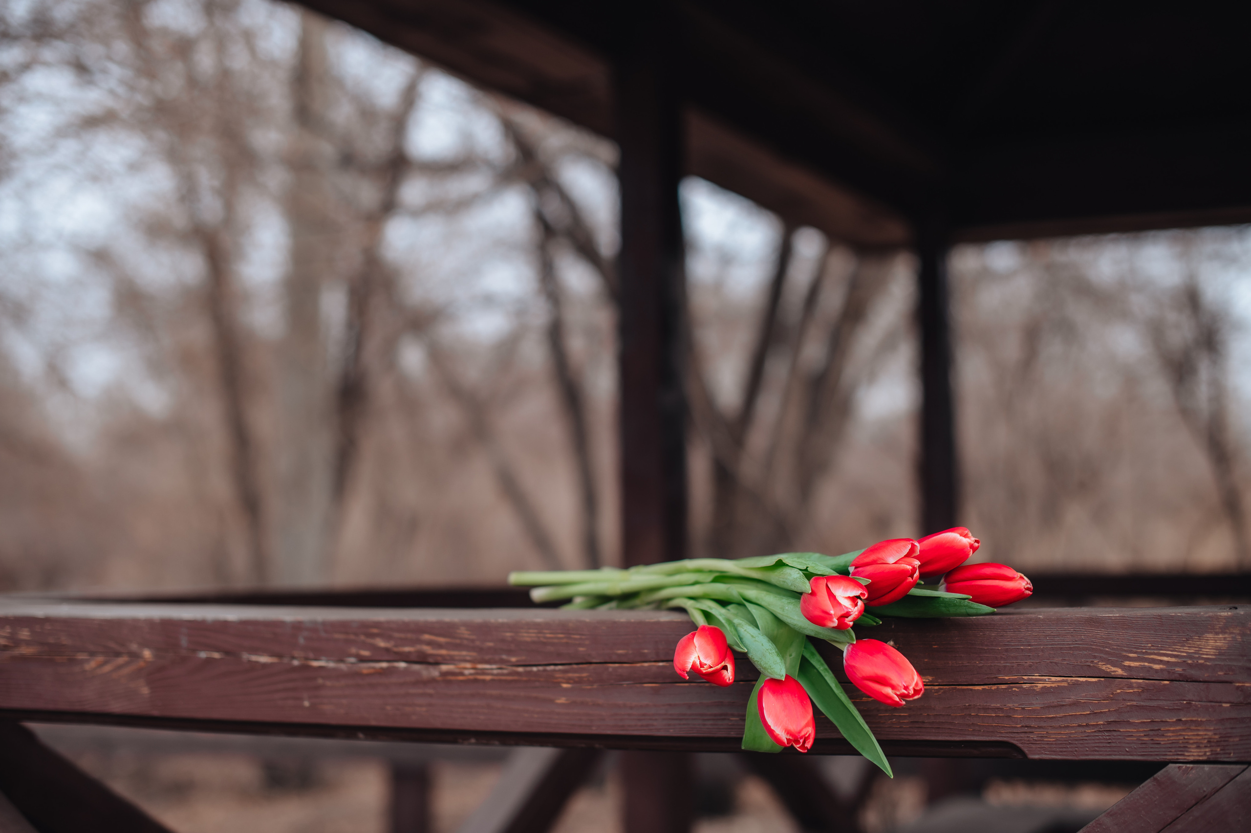 Марина. Фотограф Виктория Воронина