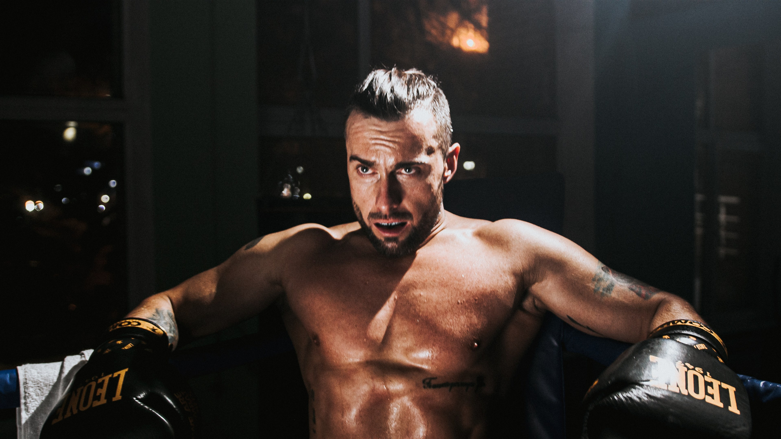 MF PROD. — BOX STAS. MOVIE FAMILY PRODUCTION