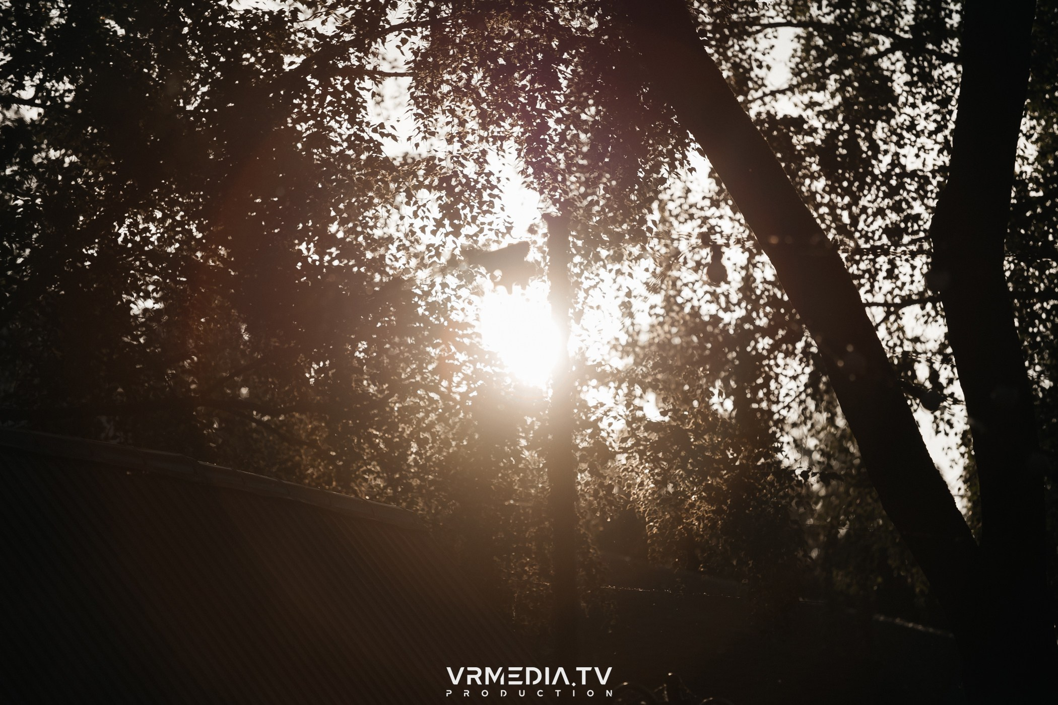 В гостях у «Петровича»