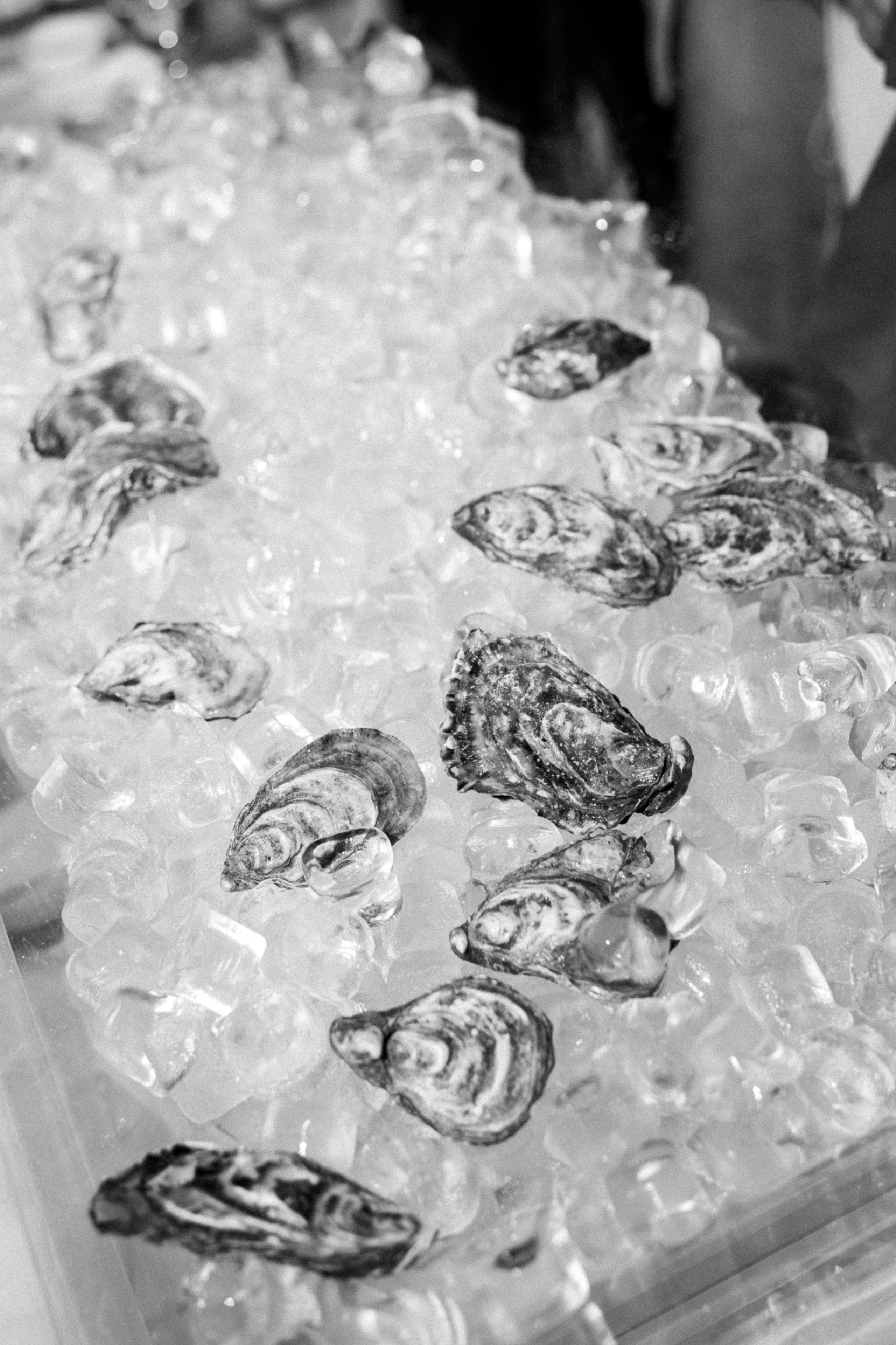 Владимир и Анна. Фотограф Тюмень Пушковская Кристина