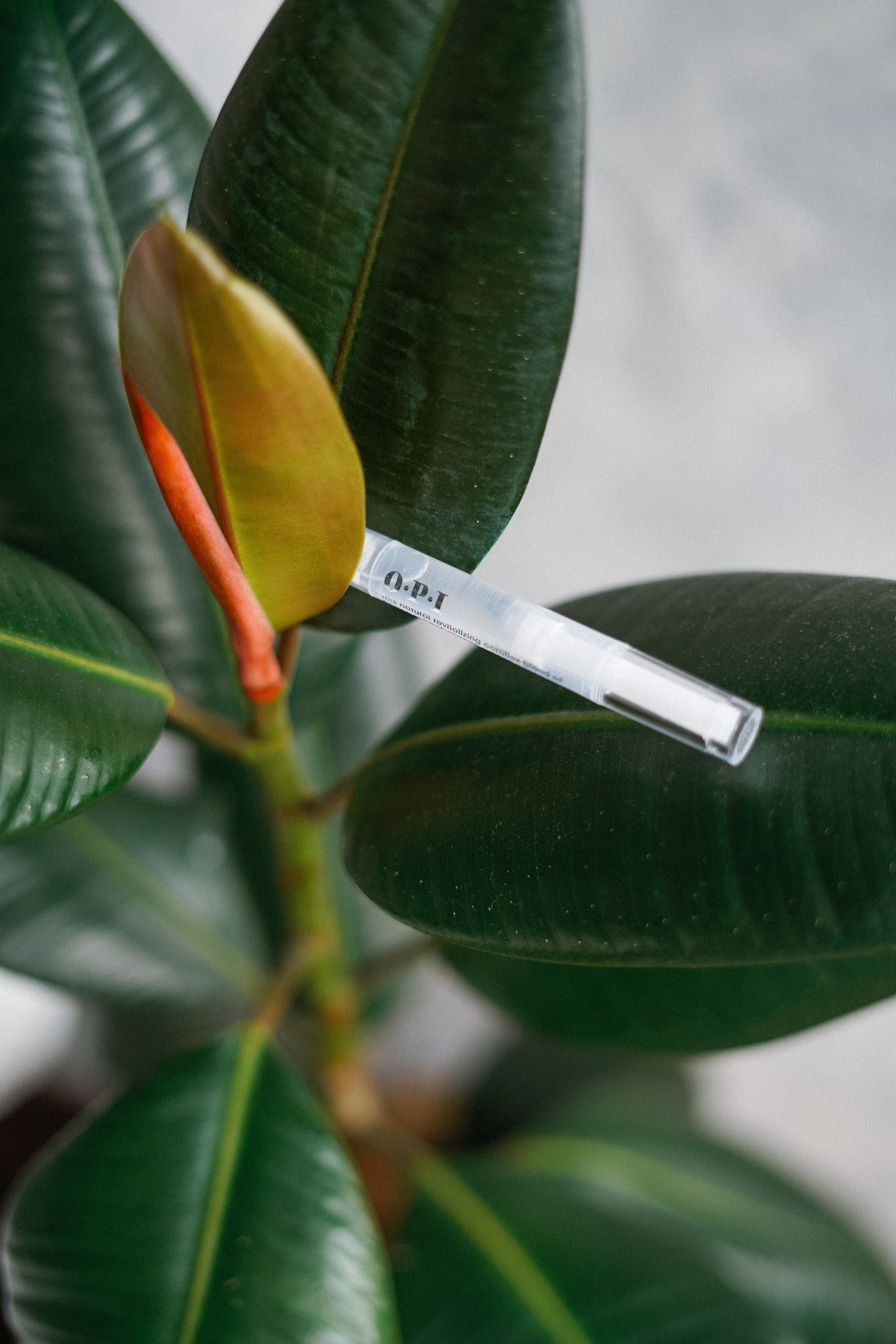 Контент для мастера маникюра Геленджик. VISUAL ARTIST · KRONGAUZ ANASTASIA