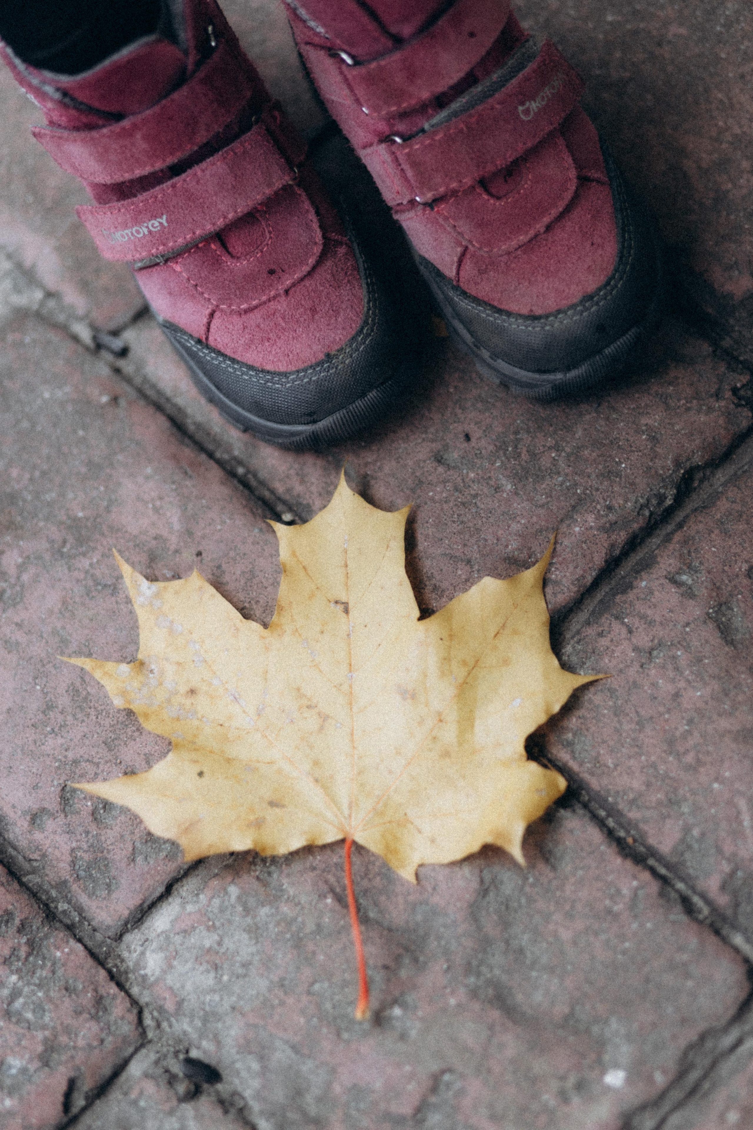Дима Лена и Афина. Свадебный фотограф Роман Медведев , Минск, Беларусь