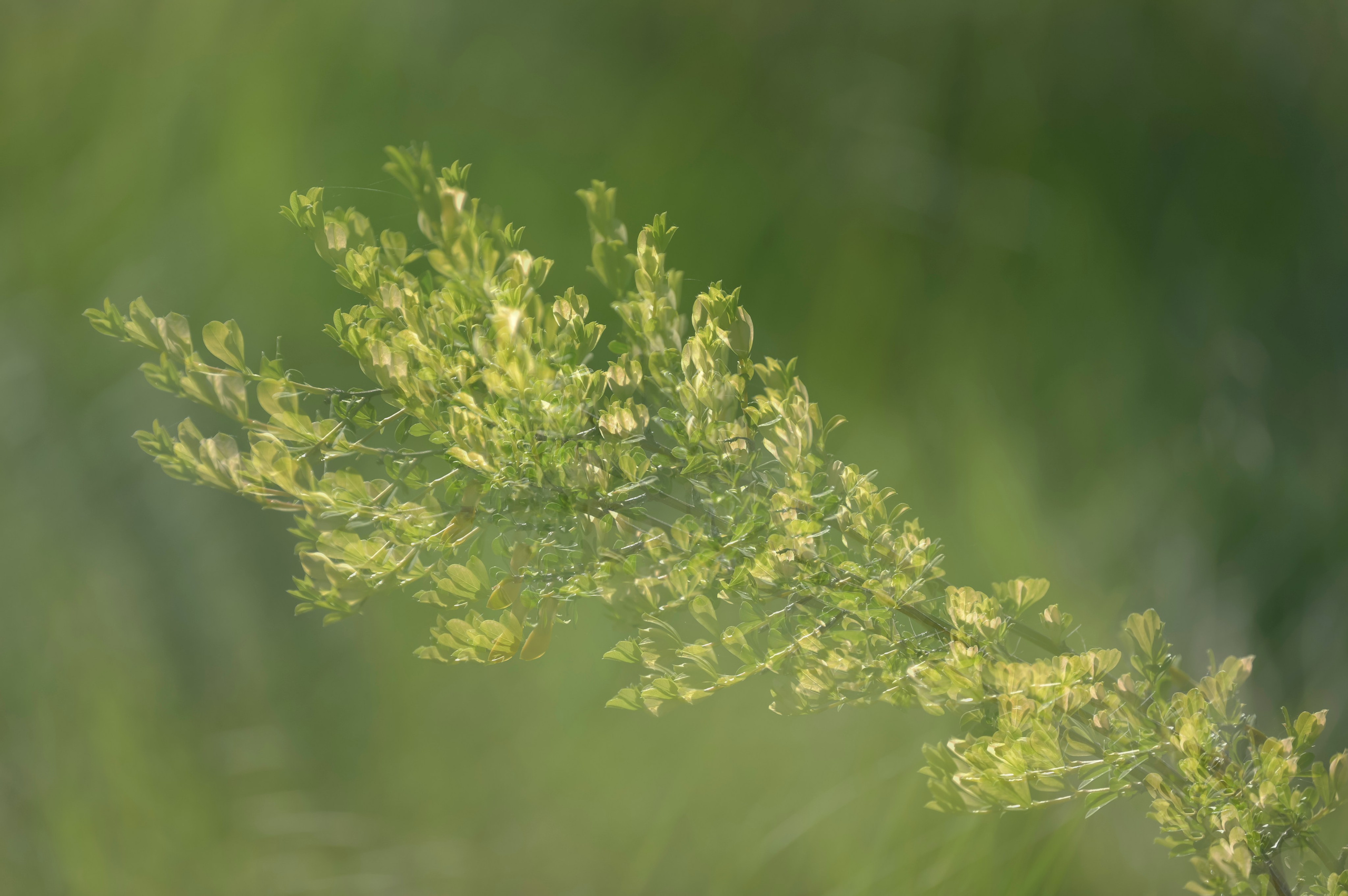 Оренбуржье. Портретный фотограф в Челябинске Катерина Руди