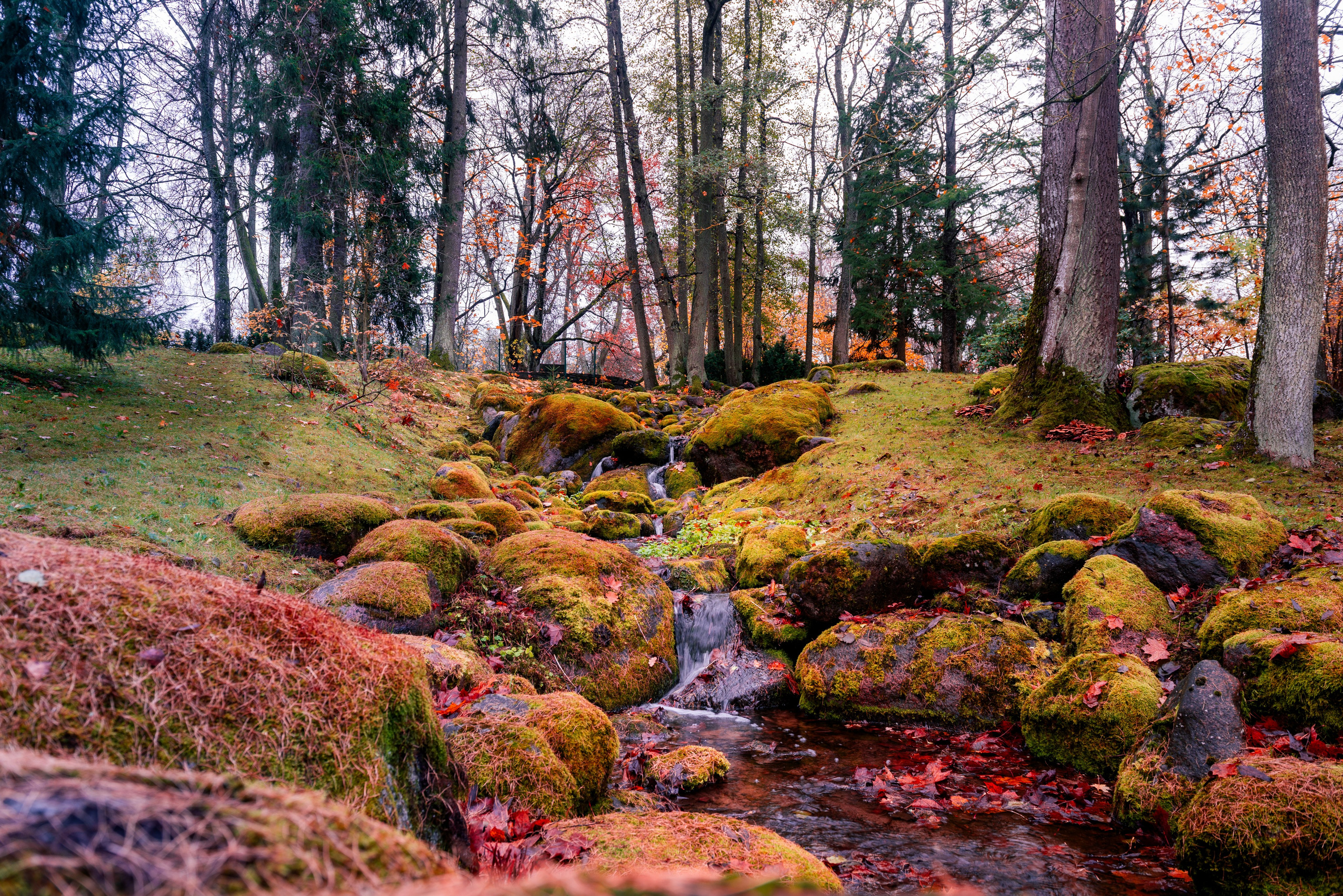 Photo walk in Estonia. Valentyn Barikov-photographer Moscow