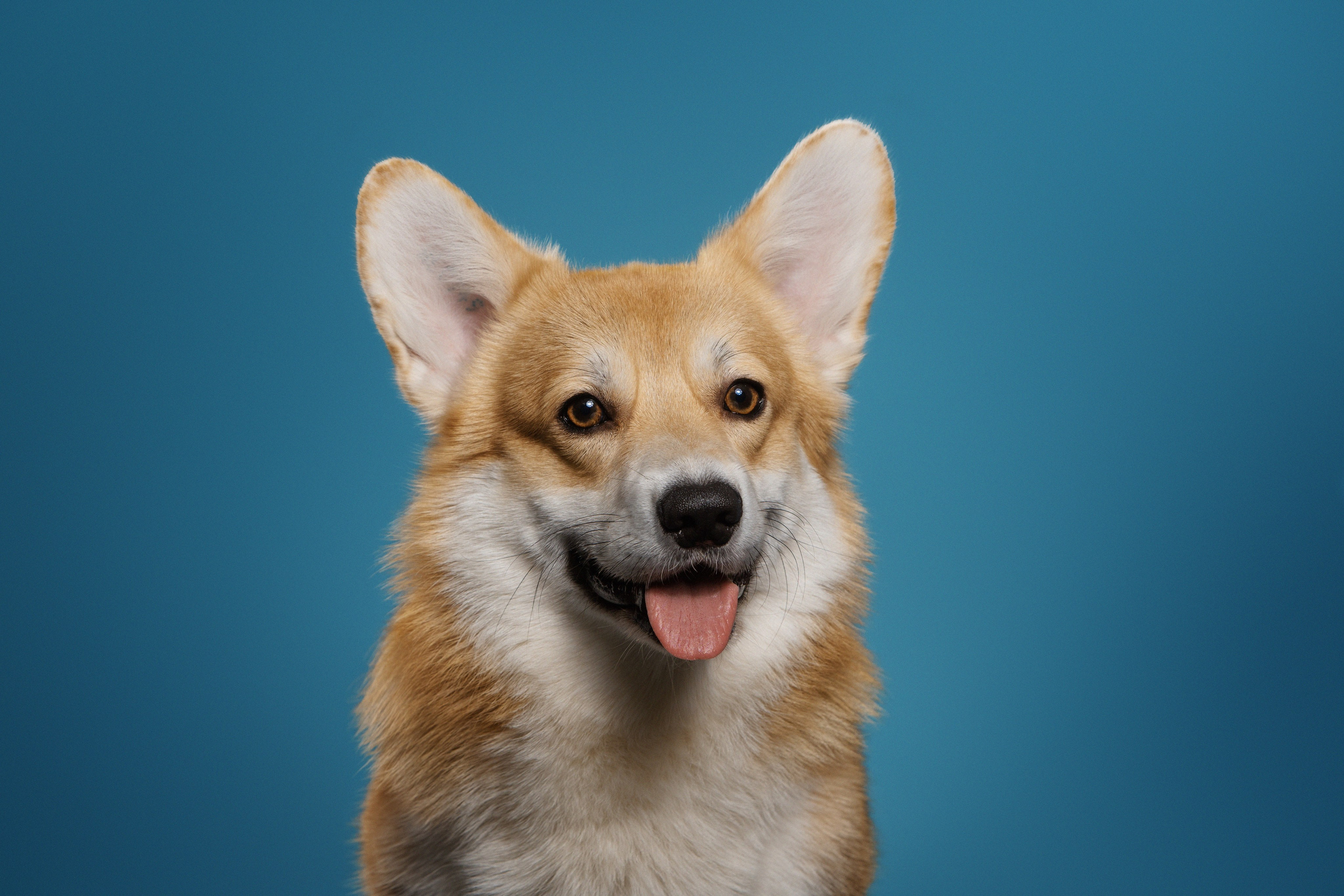 Фотодень в Нижнем Новгороде. Фотограф Анна Тюрина