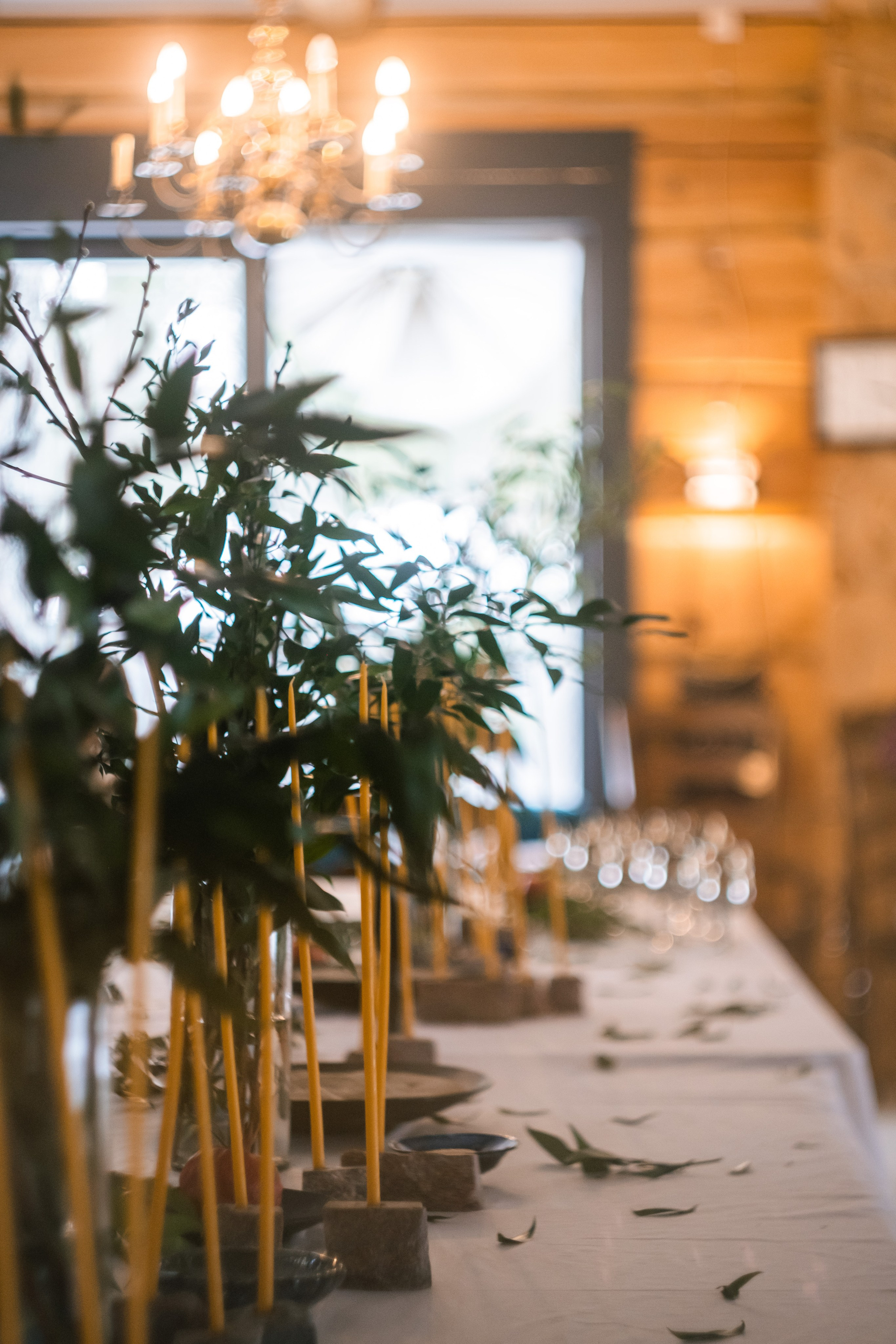 Семён и Алина. Мария Сигина-Лавданская