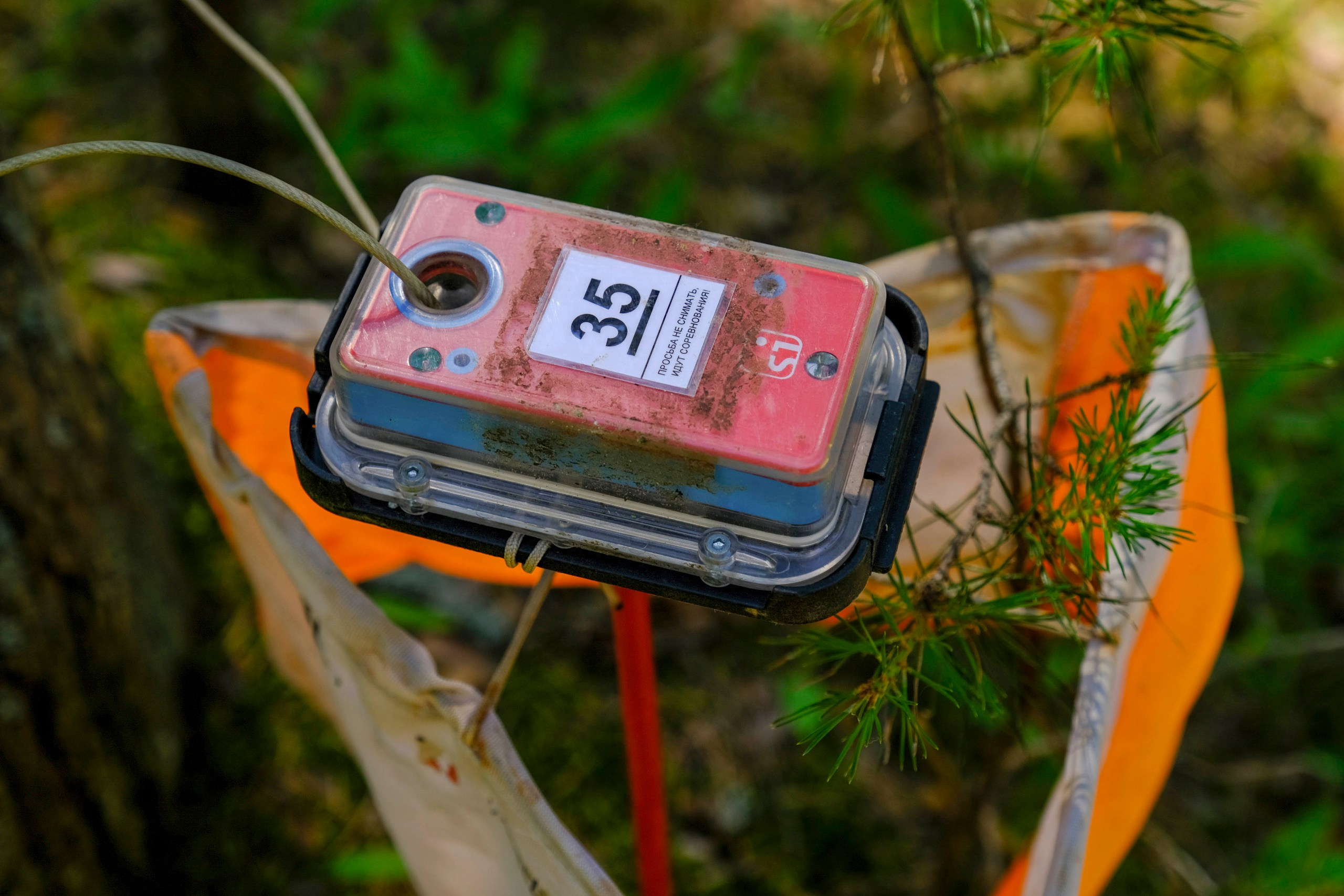 Корпоративный турпоход 500 чел. Территория M.I.C.E. Территория EVENT. Организация мероприятий