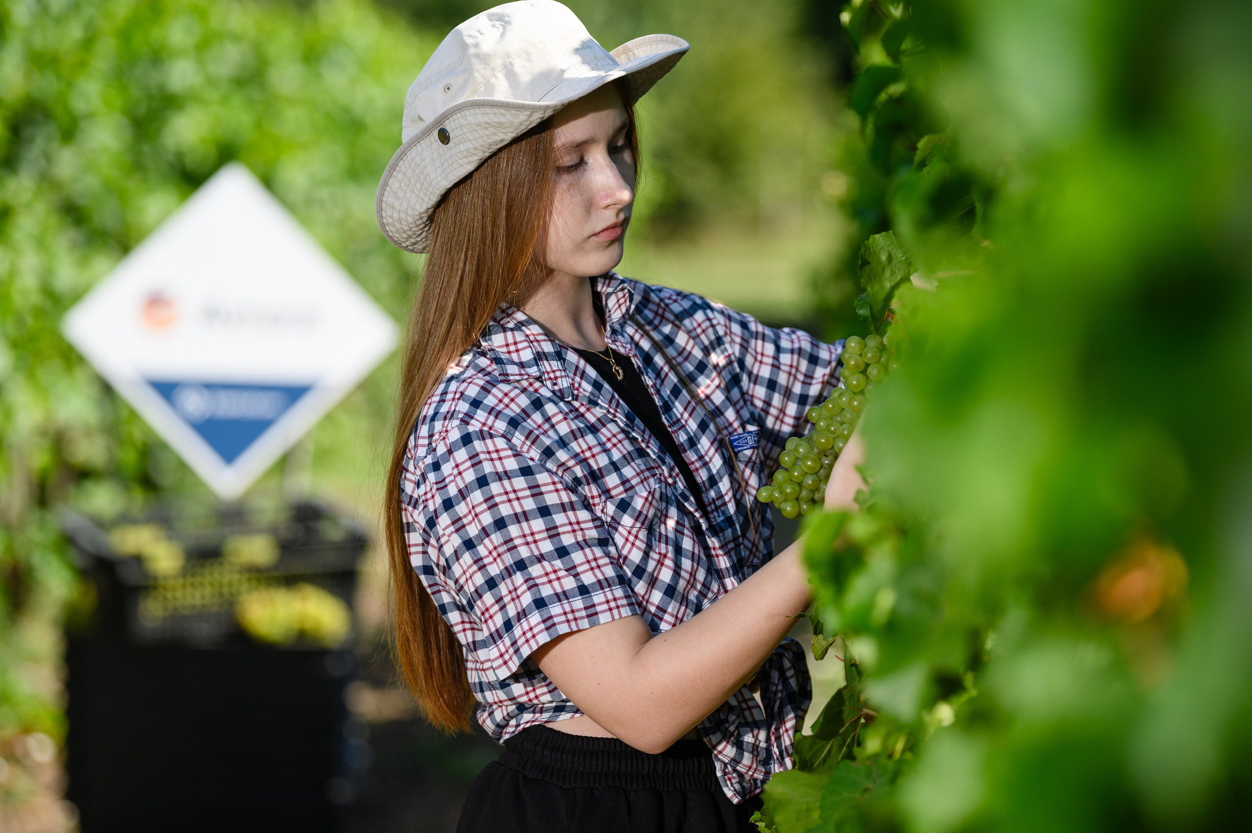 Проекты. Профессиональный фотограф Вячеслав Плацында | Липецк |