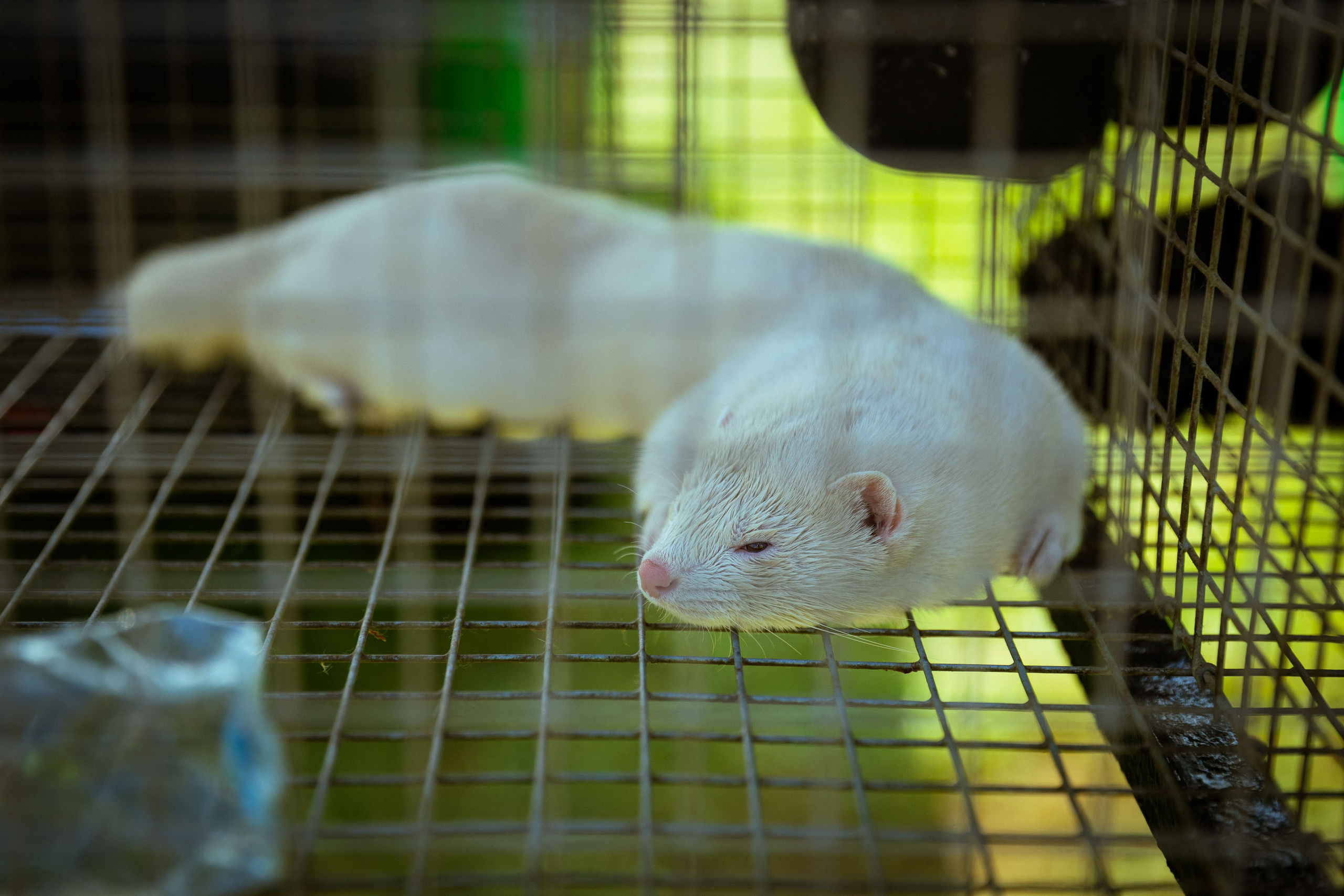 АгроПро 2024 [20/07/24]. Фотограф Виноградов Константин