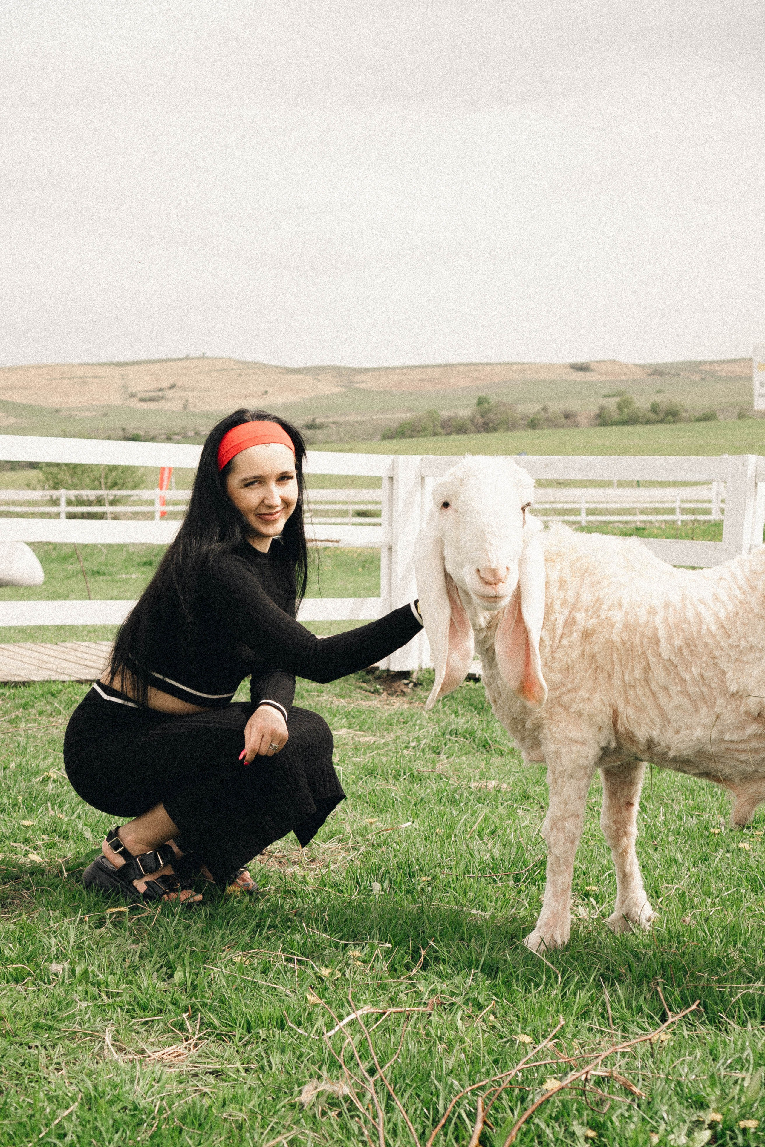 Ферма Альпак. Профессиональный фотограф, Санкт-Петербург — Виктория Богомолова