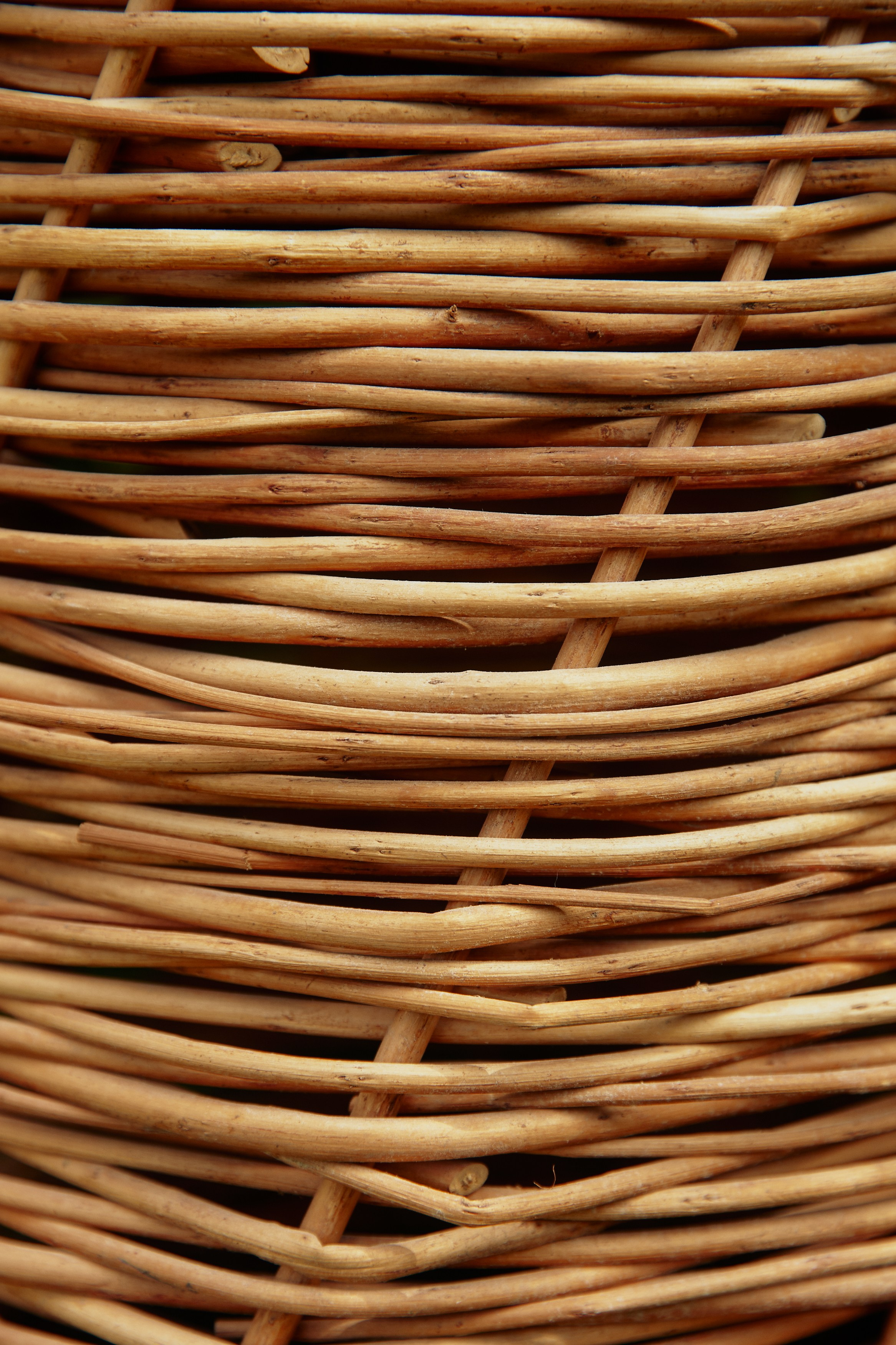 BG. Дмитрий Мазуркевич: Профессиональный Репортажный Фотограф