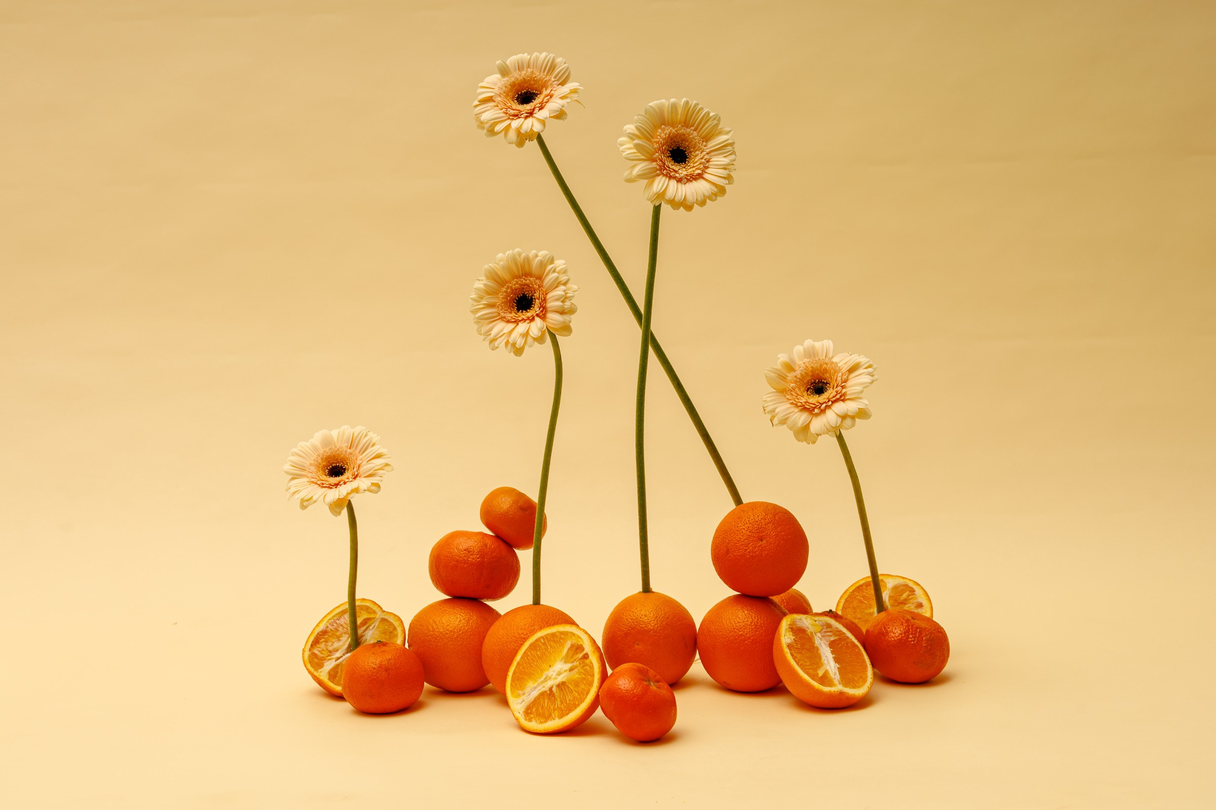 Предметная фотосъемка. Контент и свадебный фотограф в Одинцово и Москве. Вакульчик Екатерина