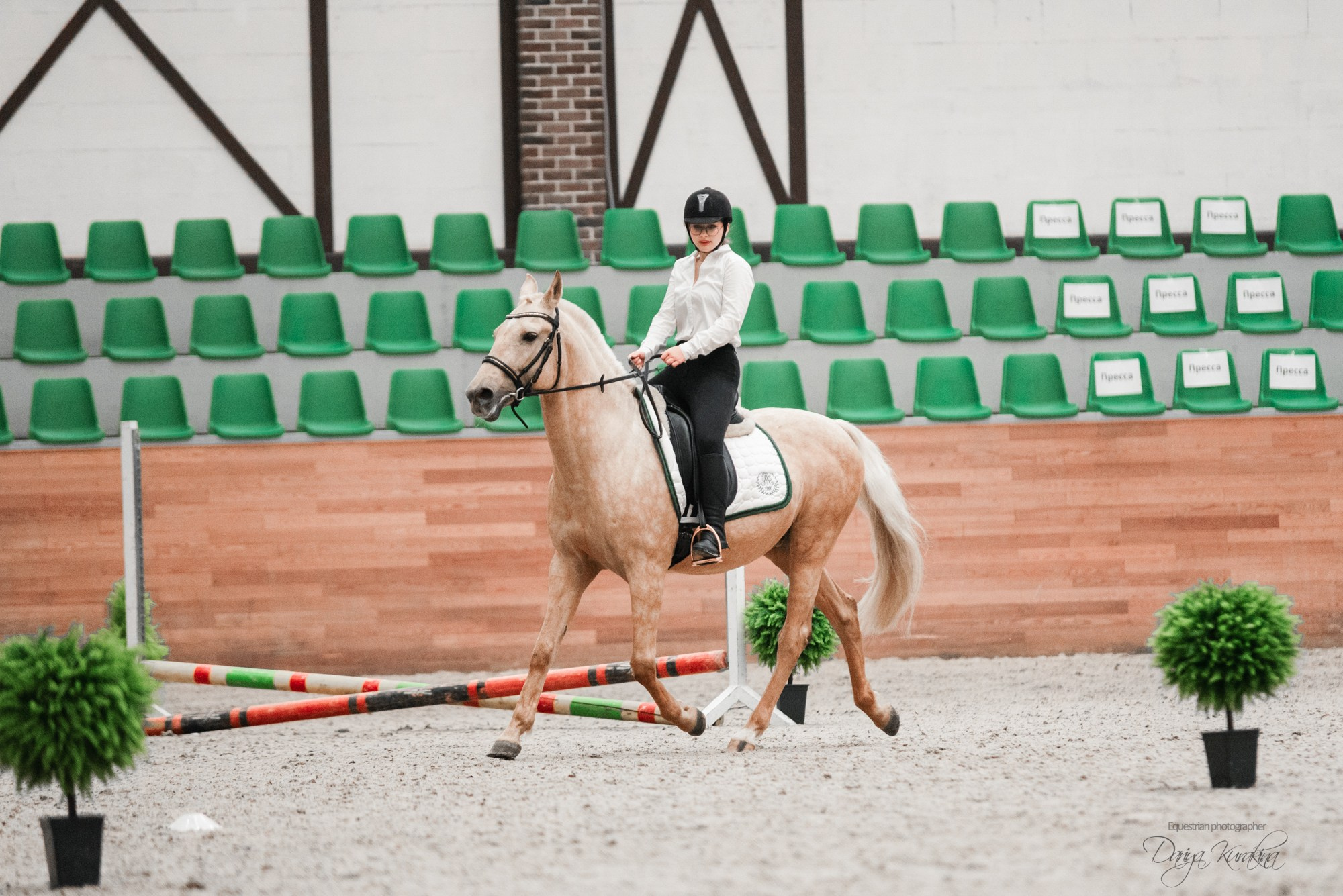 8-я международная выставка Конная Россия. Конный фотограф Куракина Дарья • Фотосессии с лошадьми