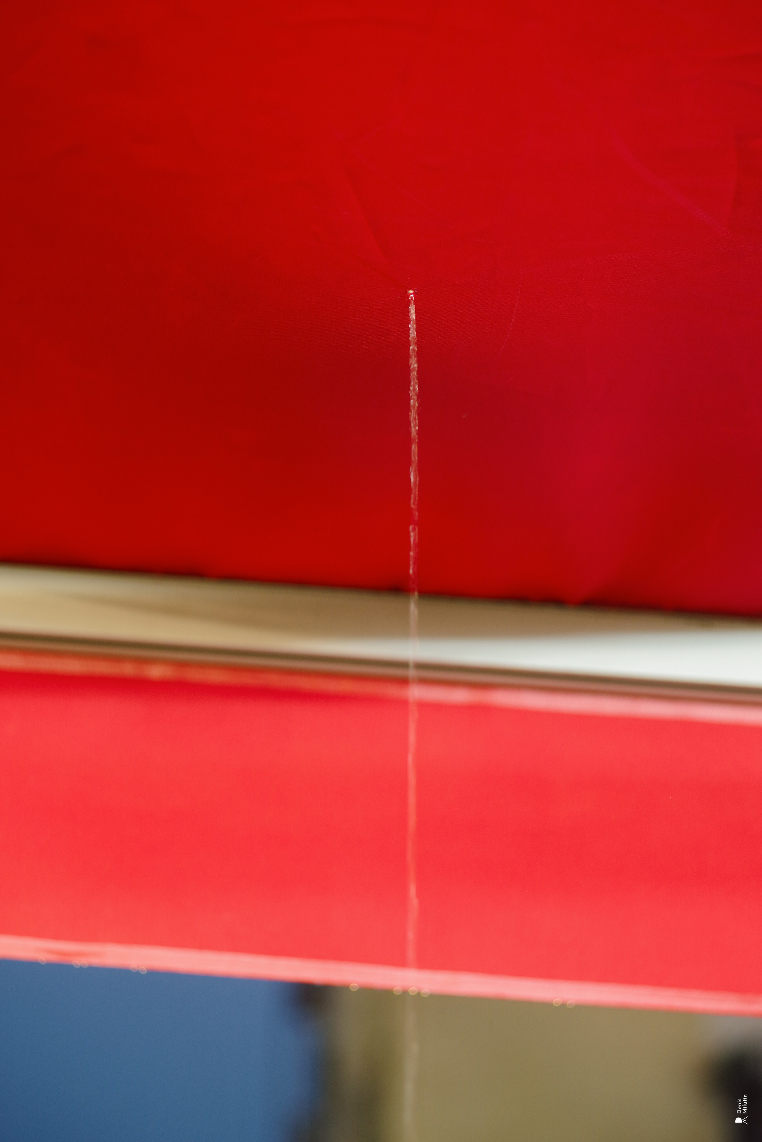 В отпуске с Артёмом. Портретный фотограф Денис Милютин