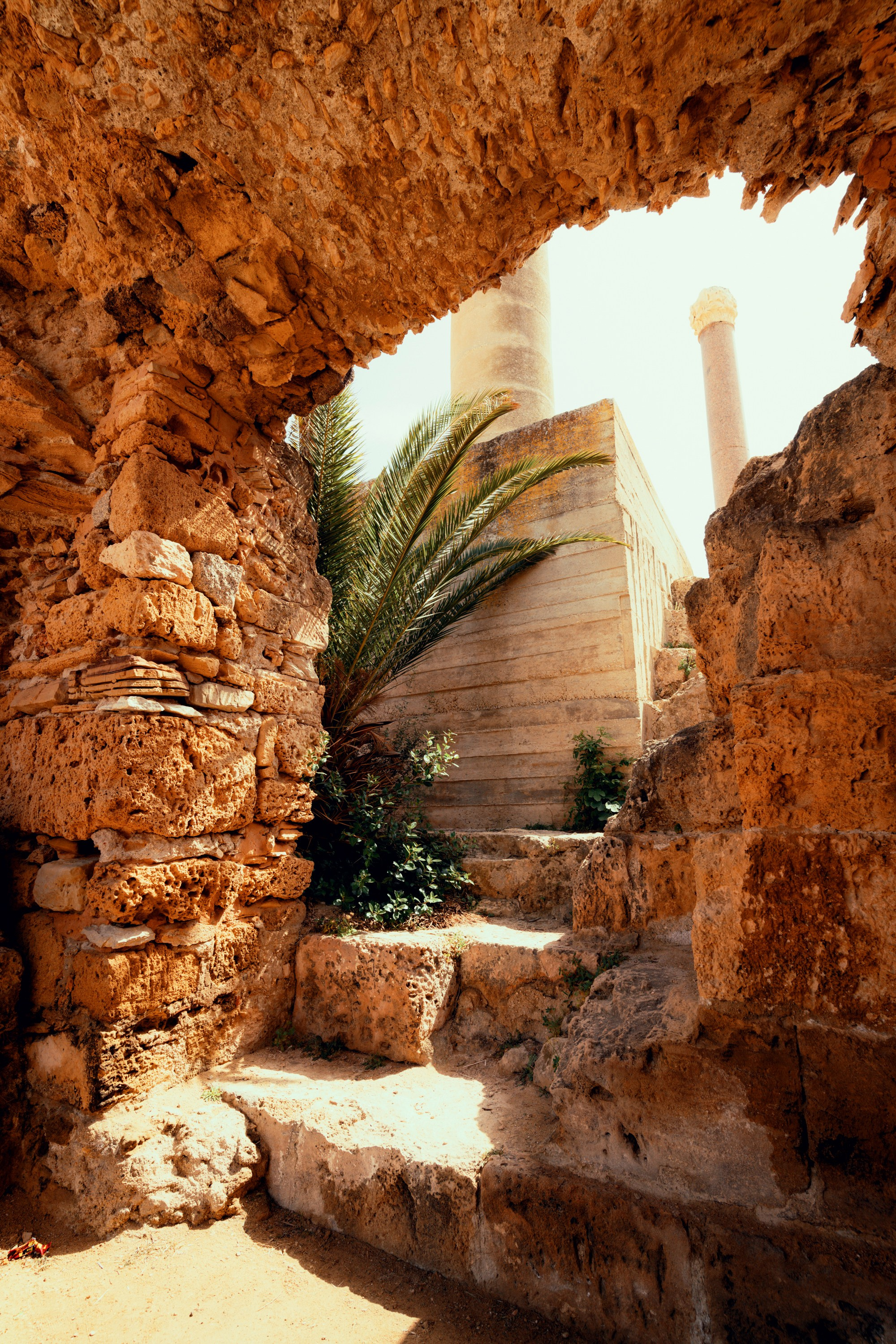 Северная Африка: Тунис, Марокко. Фотограф в Хабаровске. Фотография за 24 часа