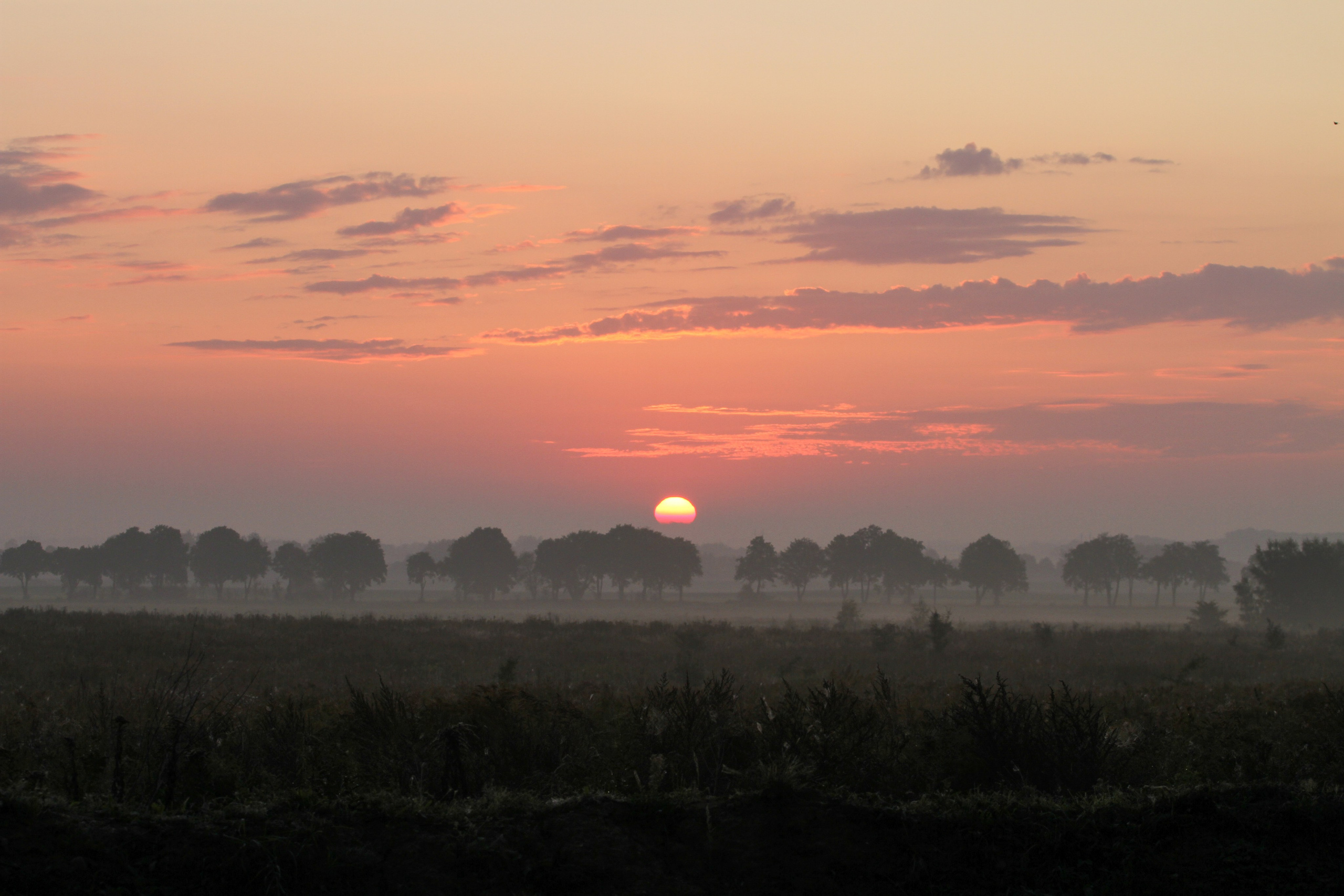 Wake camp в Аистово (Калининград). Фотограф Александр Заломаев