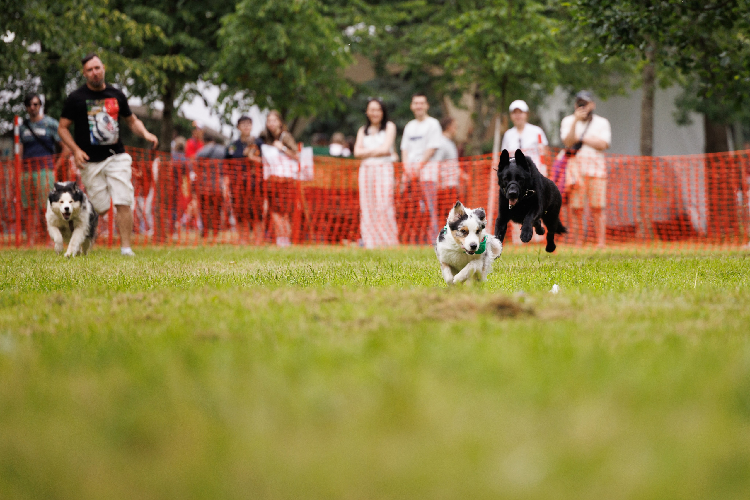 PetShopDays2026. Фотограф Александр Заломаев
