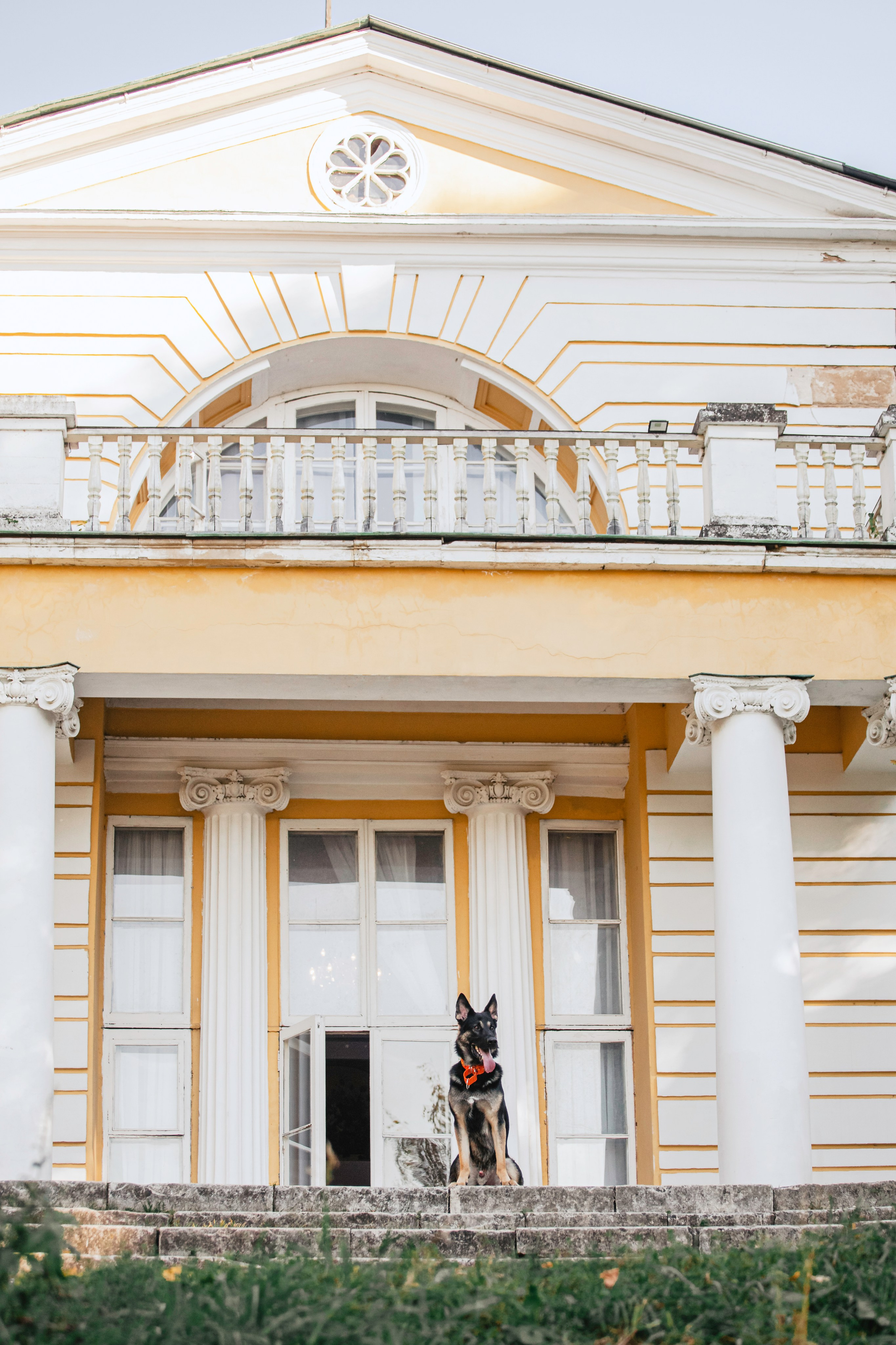 Илай. Фотограф-анималист Татьяна Степанова