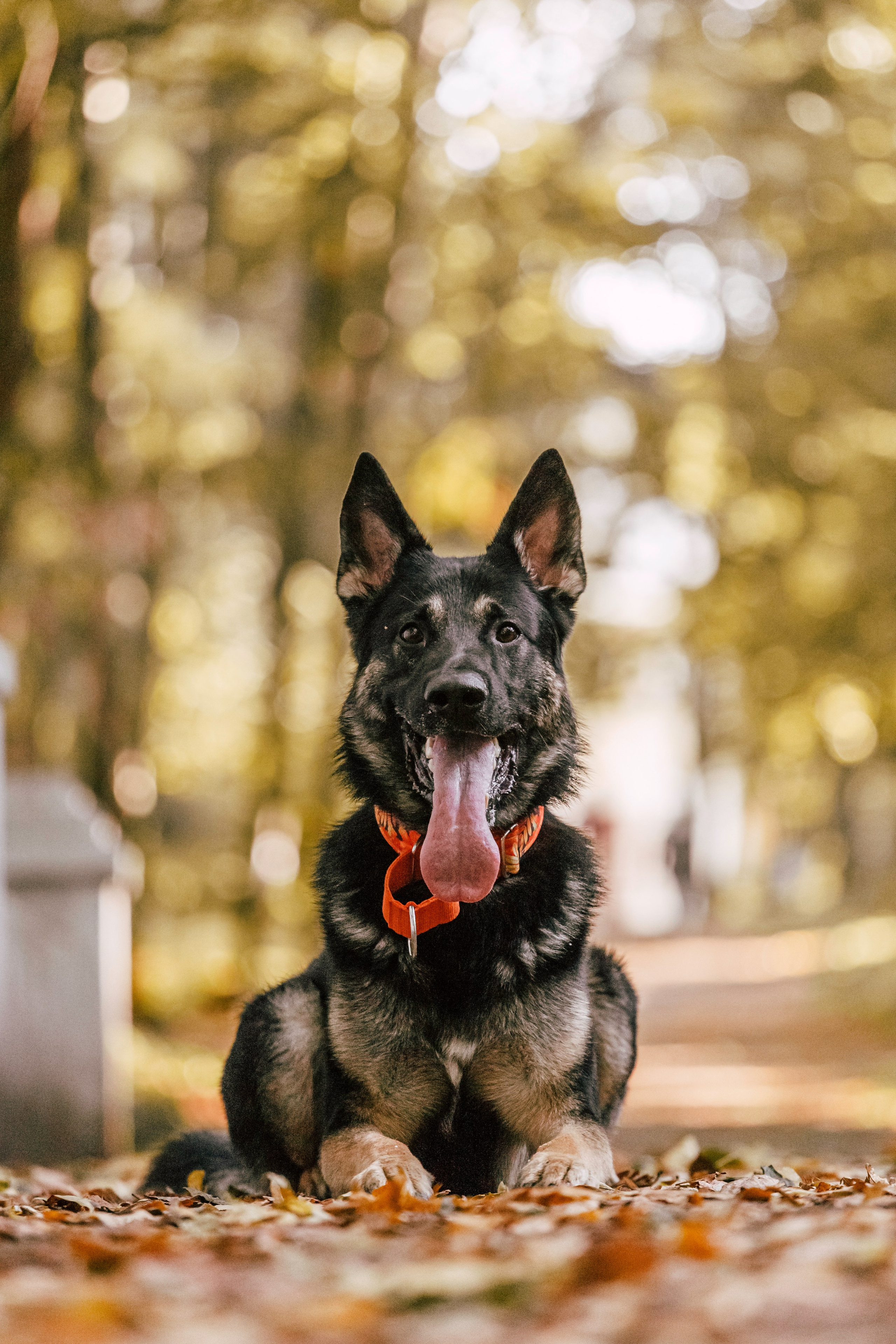 Илай. Фотограф-анималист Татьяна Степанова