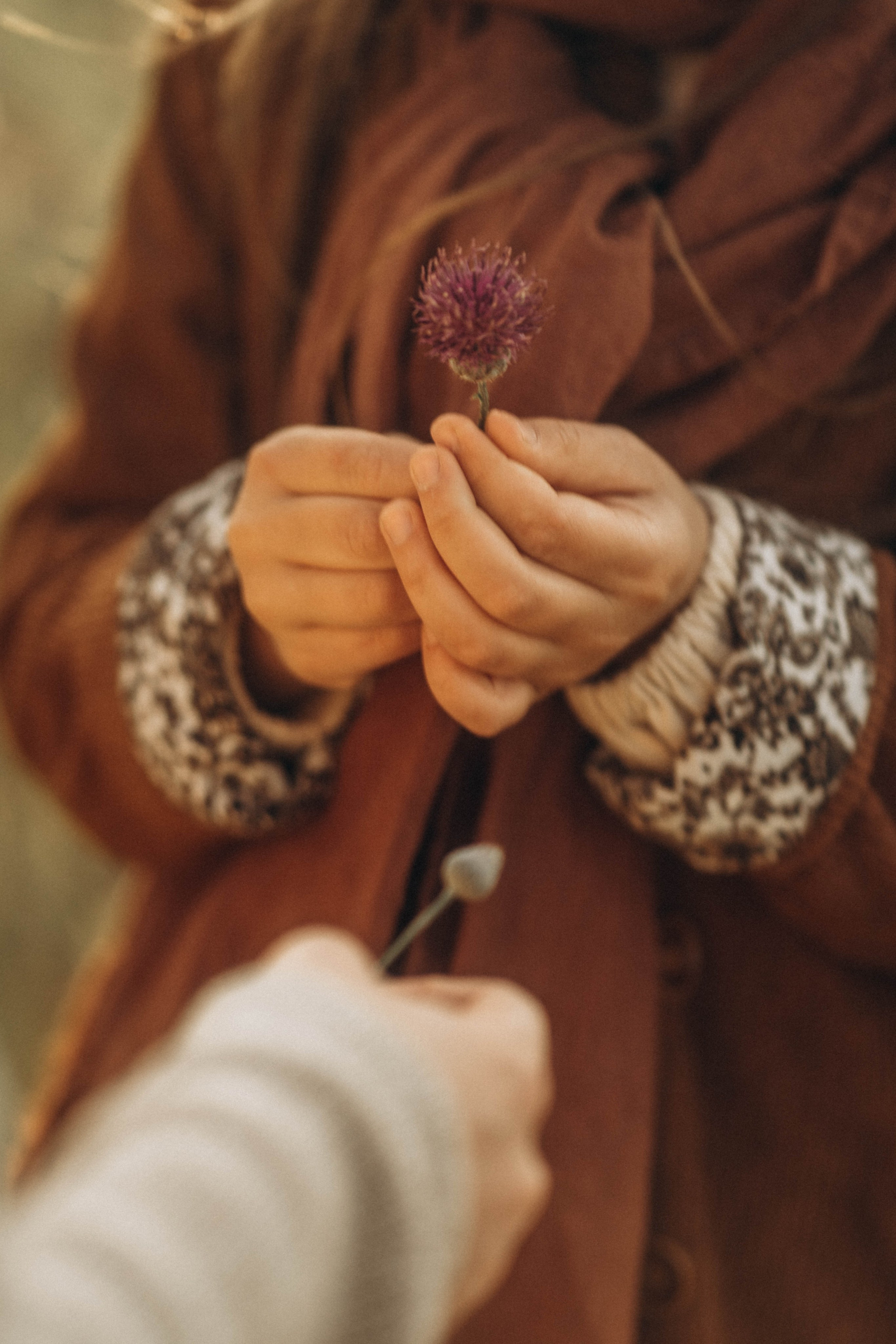 Старшая сестра. Семейный фотограф в Калининграде Елена Глазунова