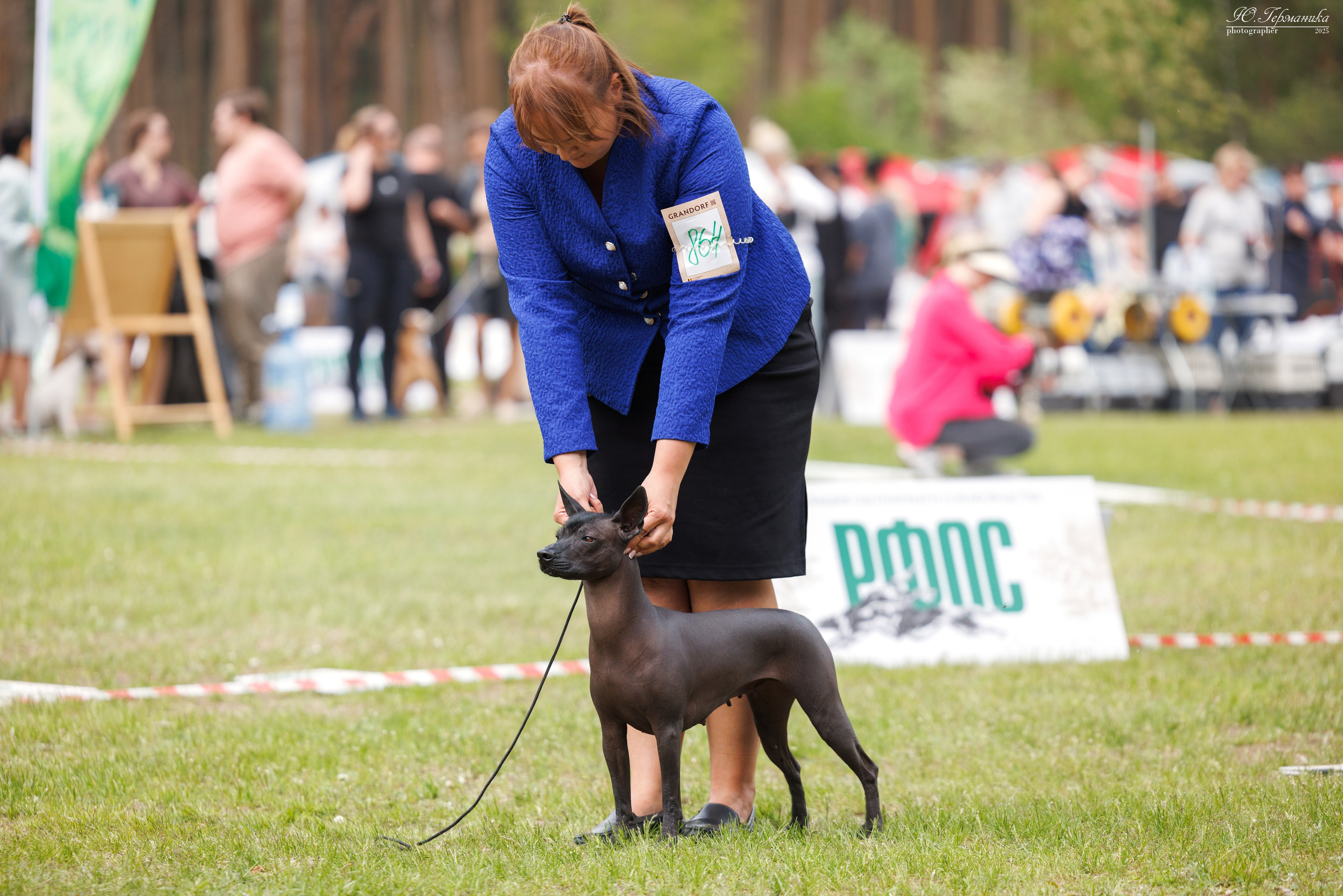 Суздаль(Владимир)17-18.05.2025. Фотограф-анималист Юлия Германика