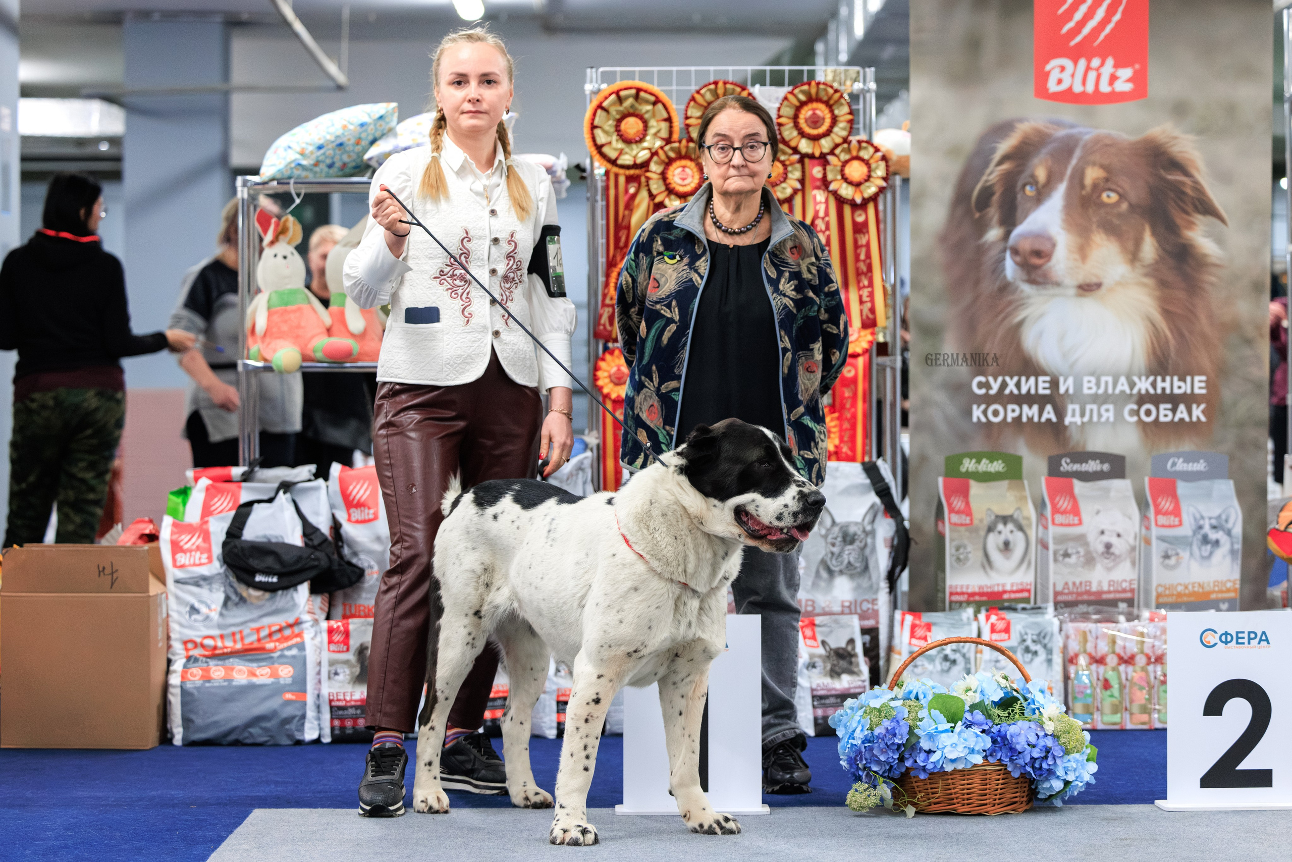 Сфера 08 и 10.03.2024 2хмоно ротвейлеров+2хмоно сао. Фотограф-анималист Юлия Германика