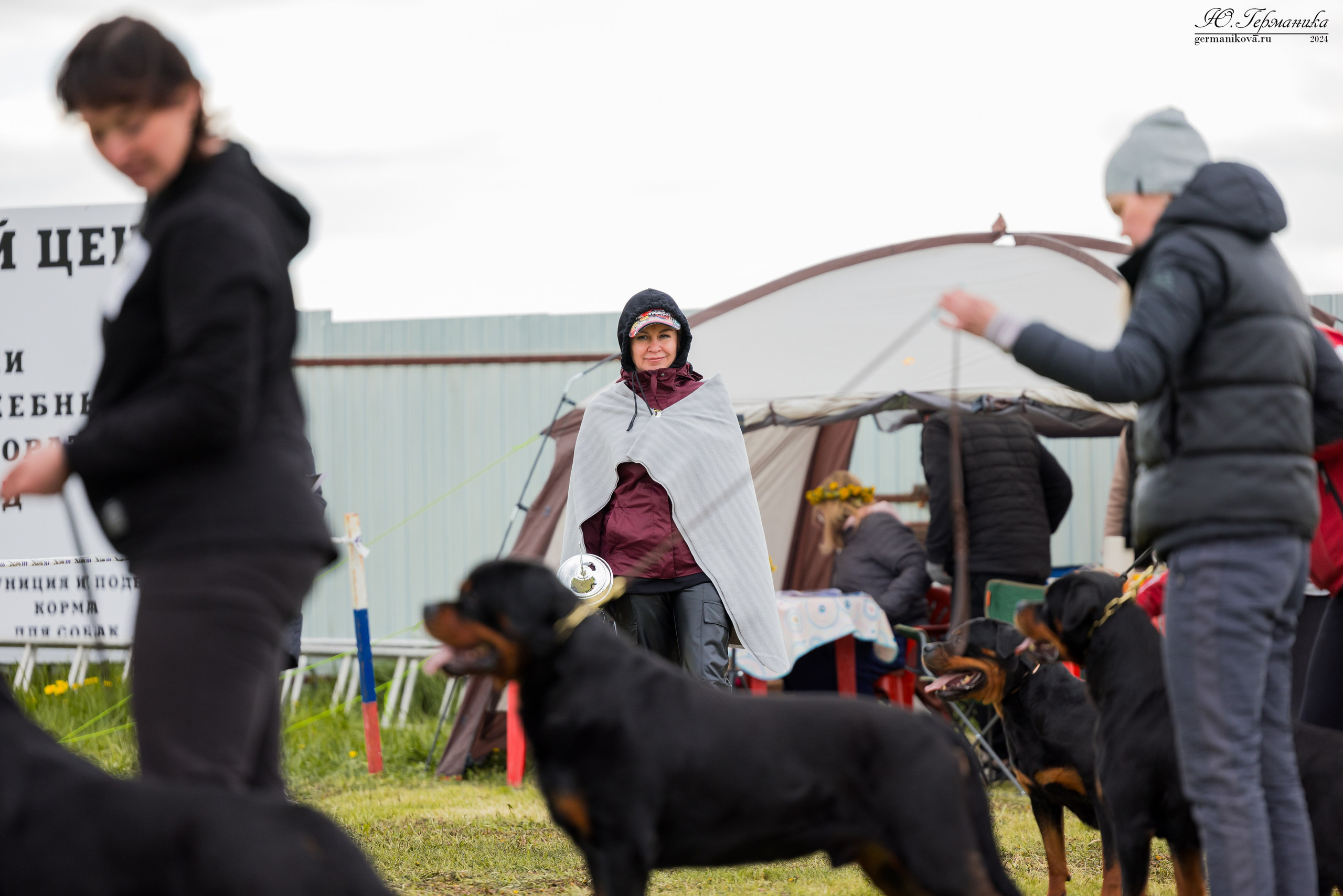 Нижний Новгород 11-12.05.2024 моно ротвейлеров. Фотограф-анималист Юлия Германика
