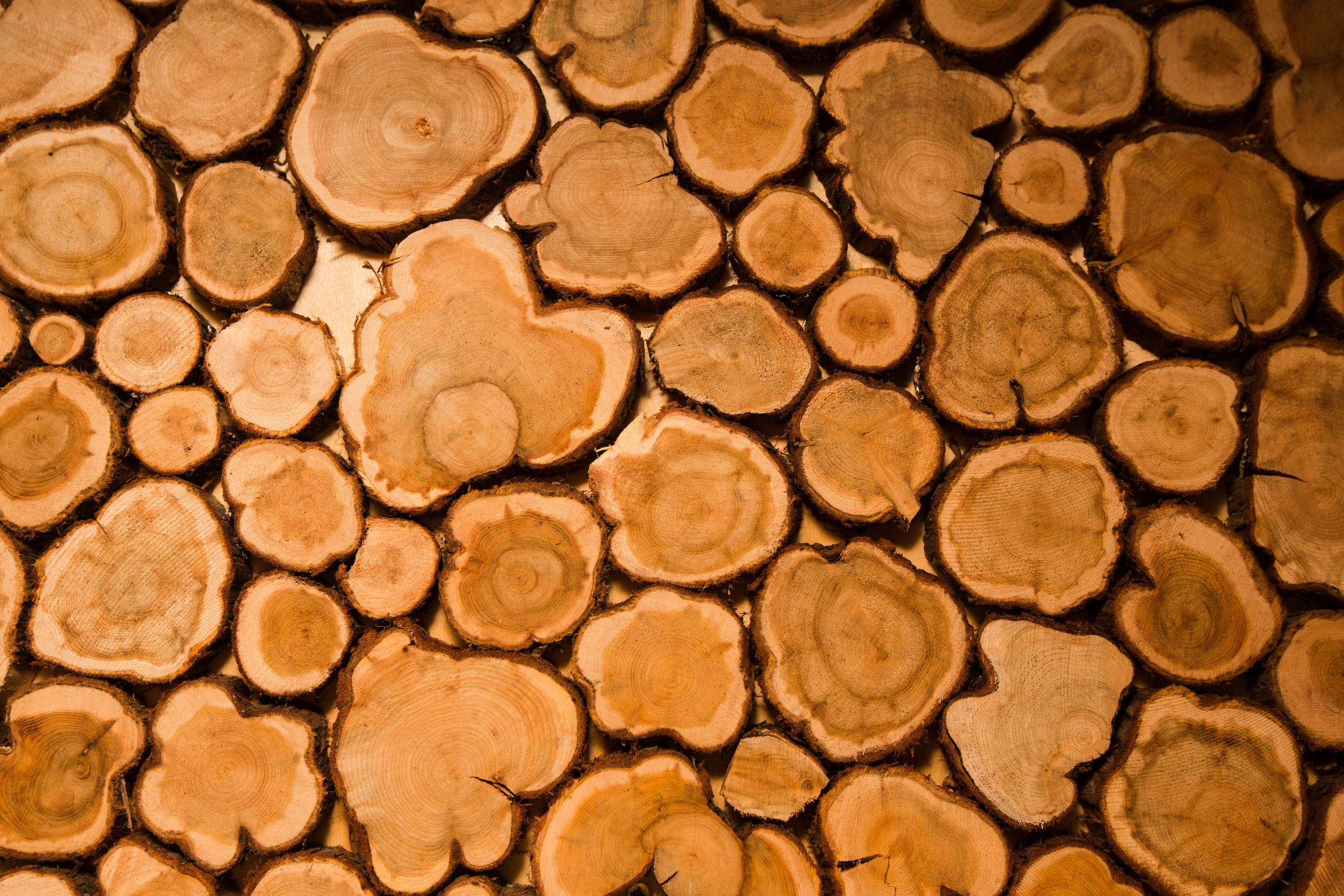 TaYou. Центр Спа и коррекции фигуры. Репортажный, семейный фотограф из Нефтеюганска