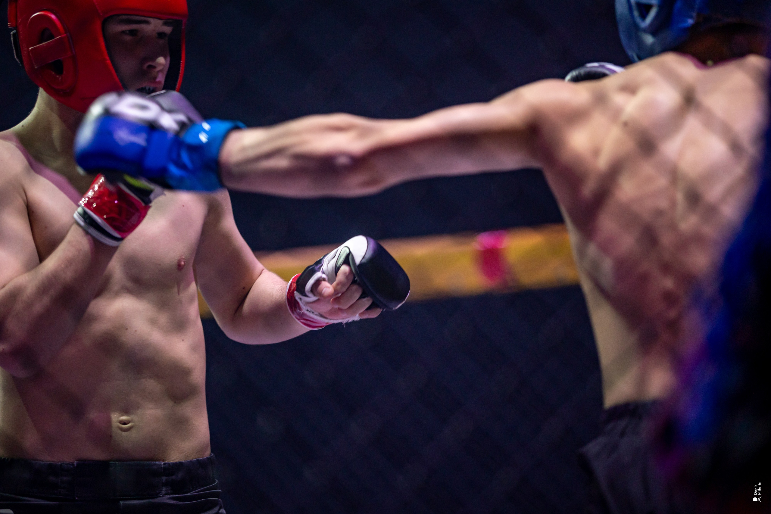 Бои в клетке «Северный Воин». Портретный фотограф Денис Милютин