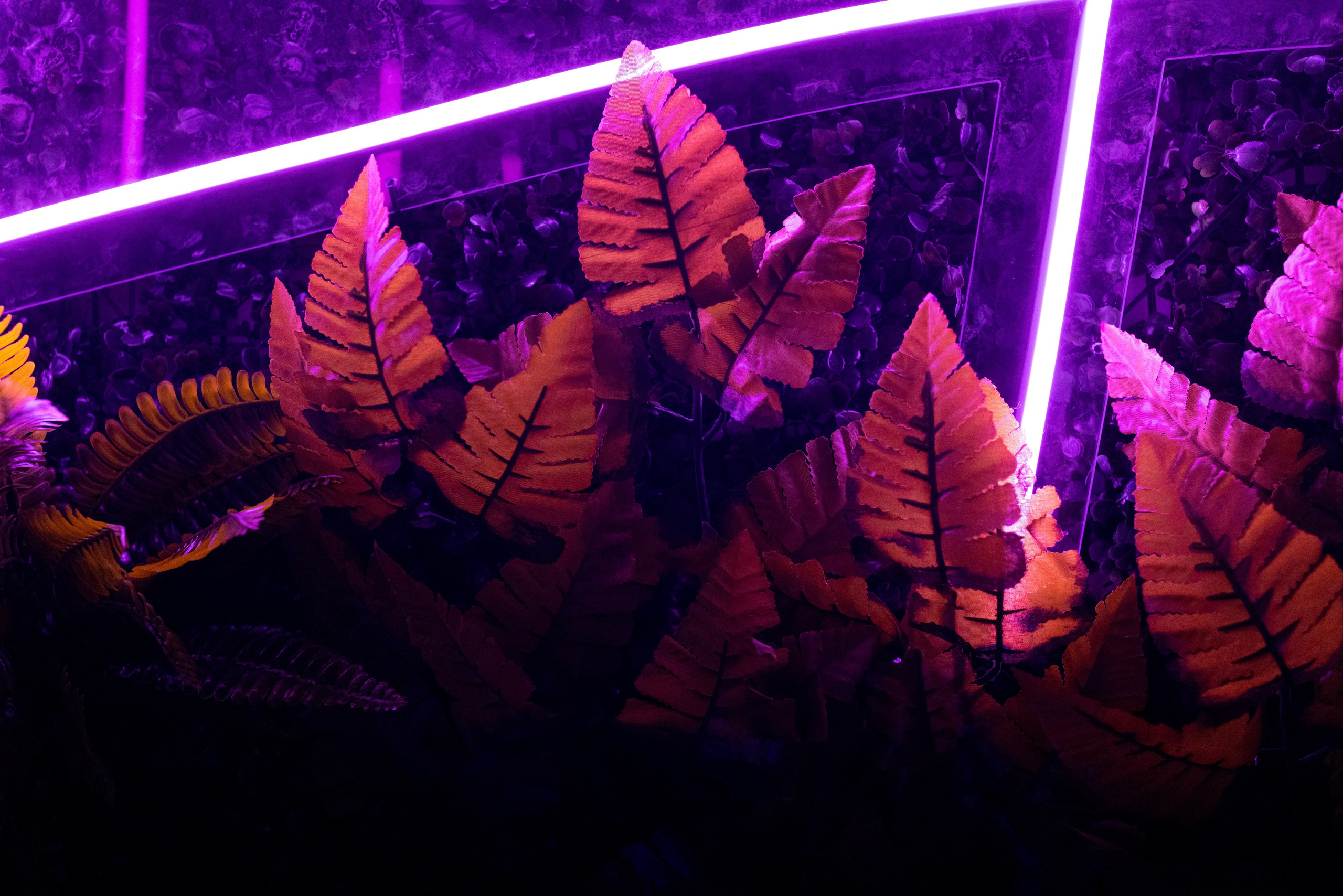 Открытие VICE CITY