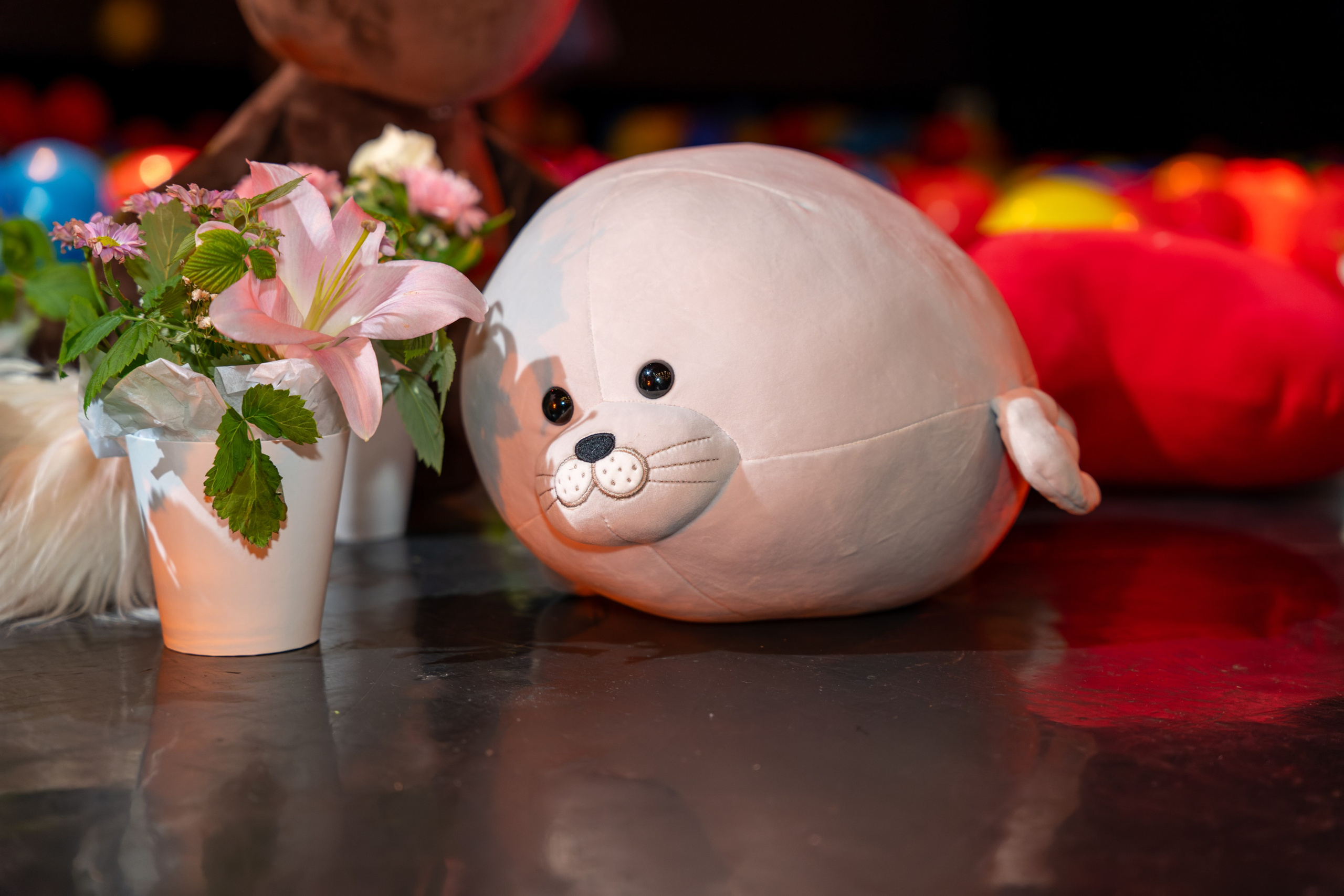 Съёмка благотворительного спектакля «Новая история деревянного мальчика». «Студия DRONAVT`s» — видеосъёмка и фотография г. Москва