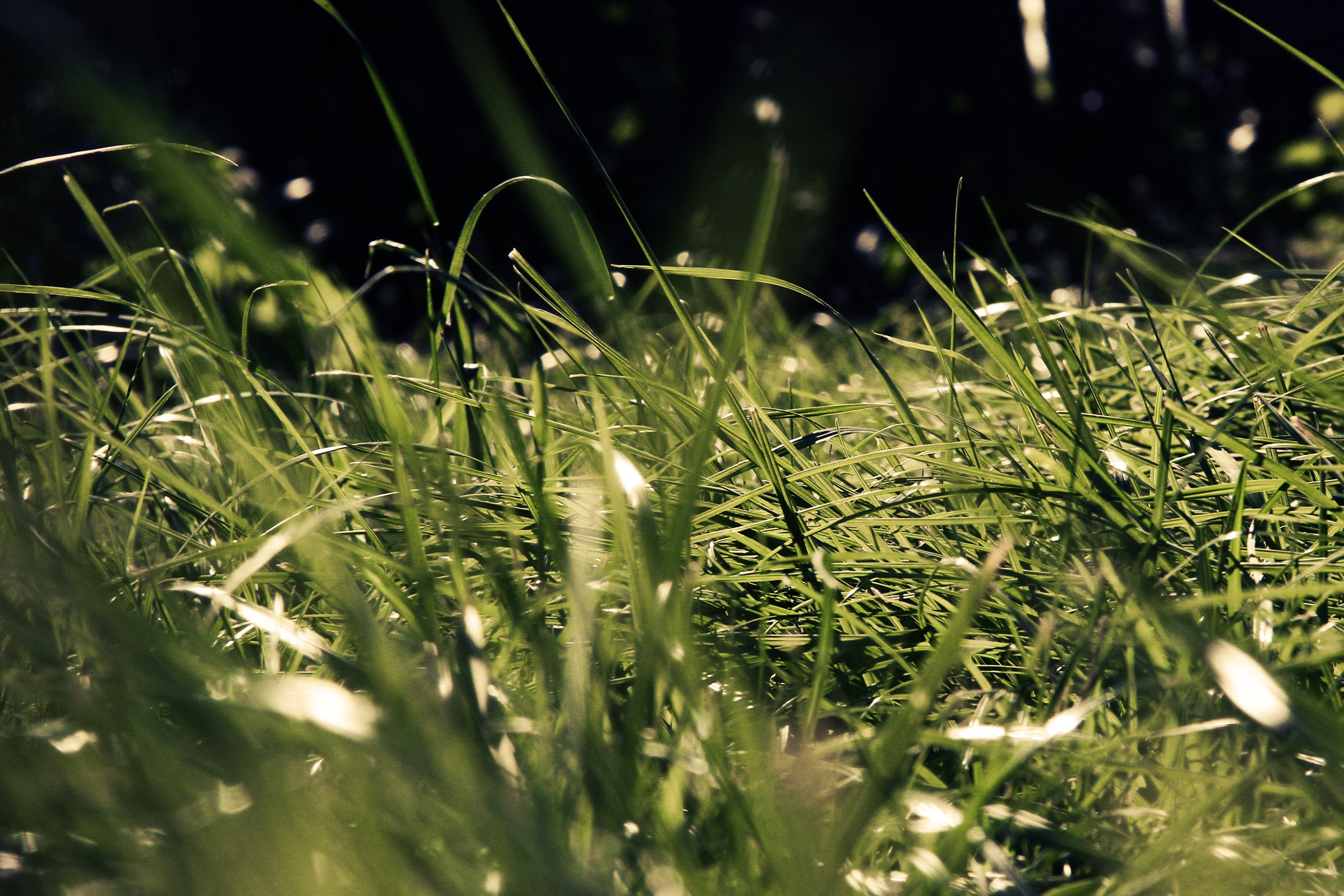 Разное из Разного времени. Ню Фотограф Александр Касымов Москва, фотосессии, Химки фотограф