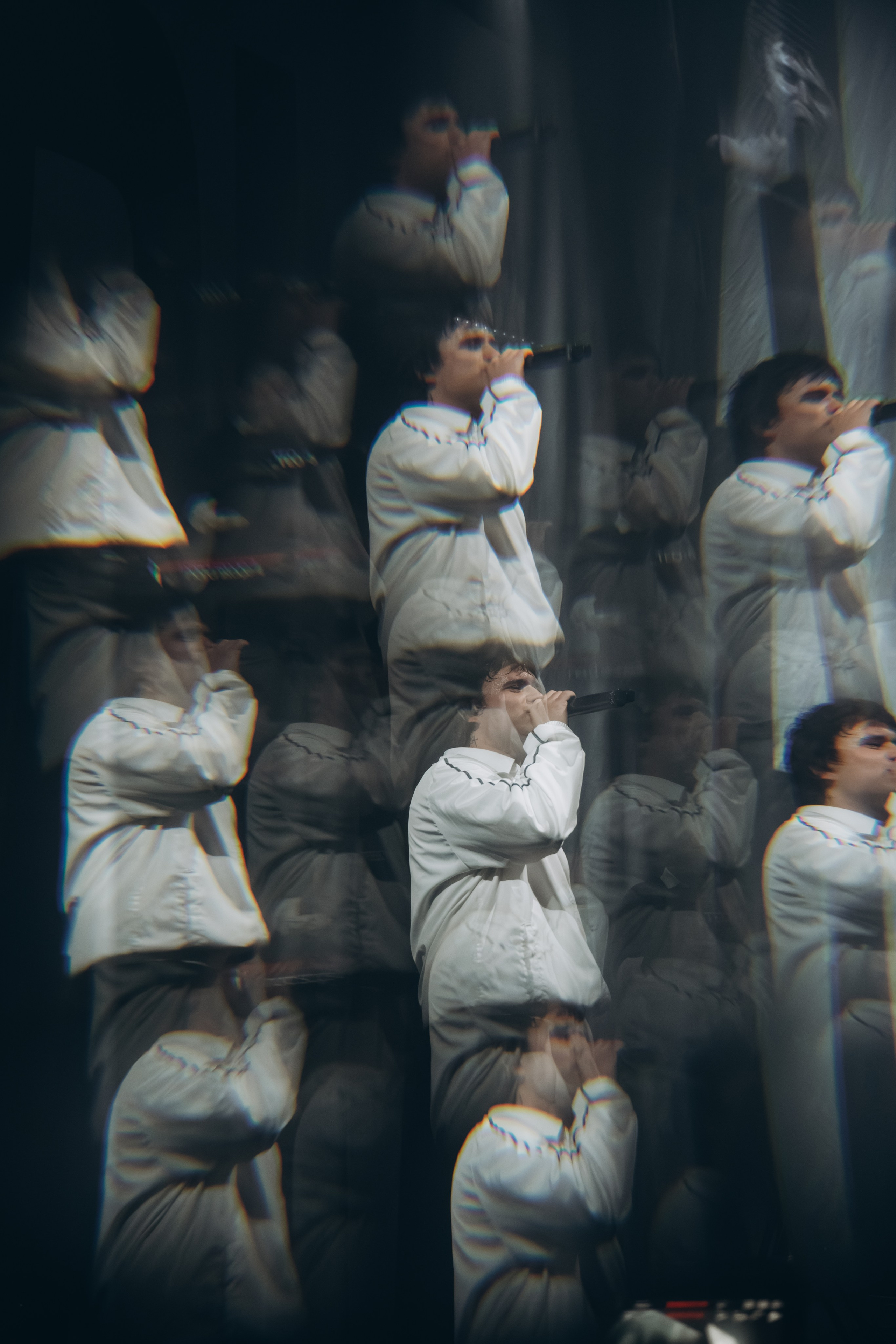 SALUKI. Фотограф Санкт-Петербурга