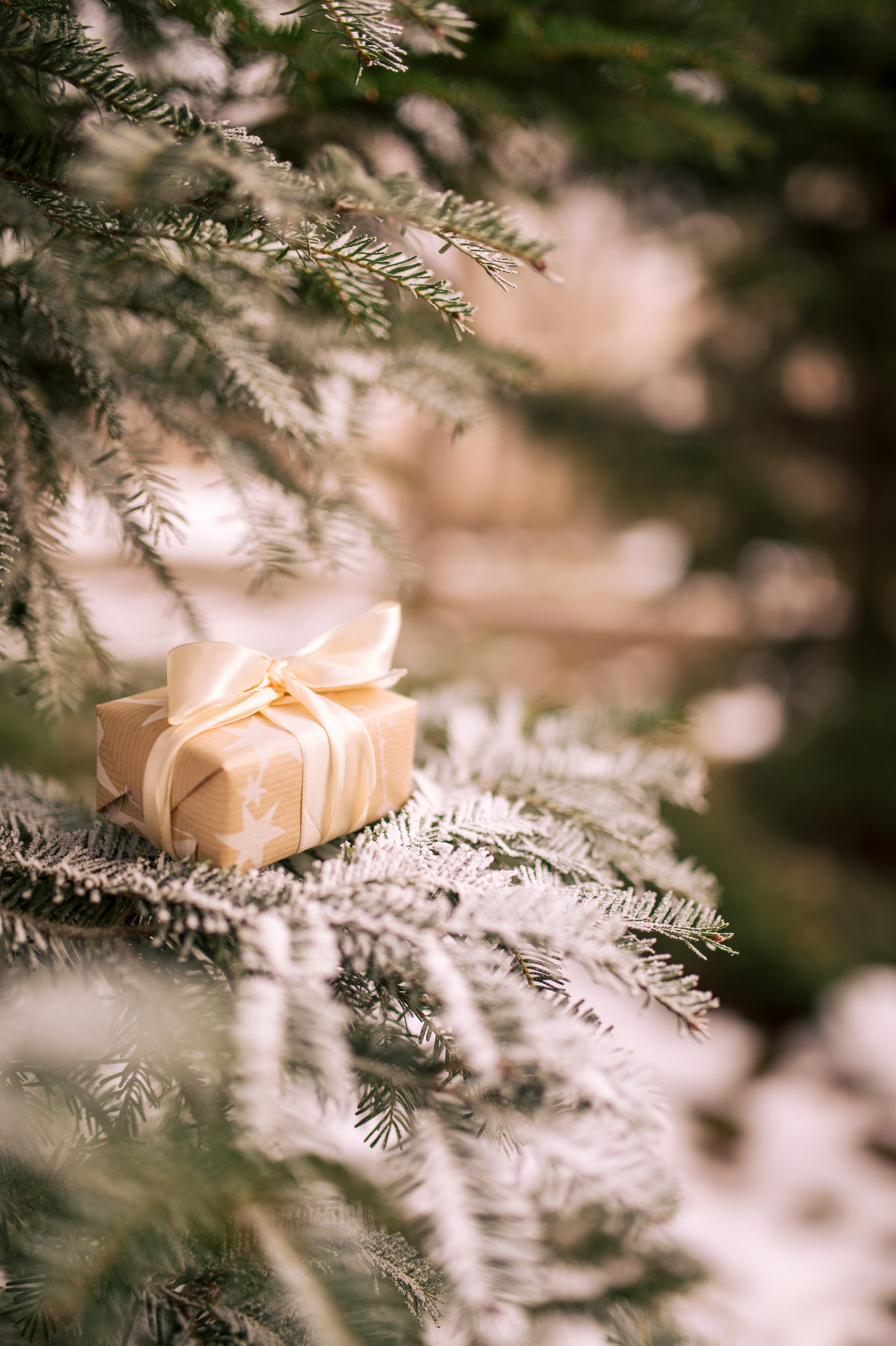Вероника и Роман. Семейный и женский фотограф в Краснодаре Александра Синчук