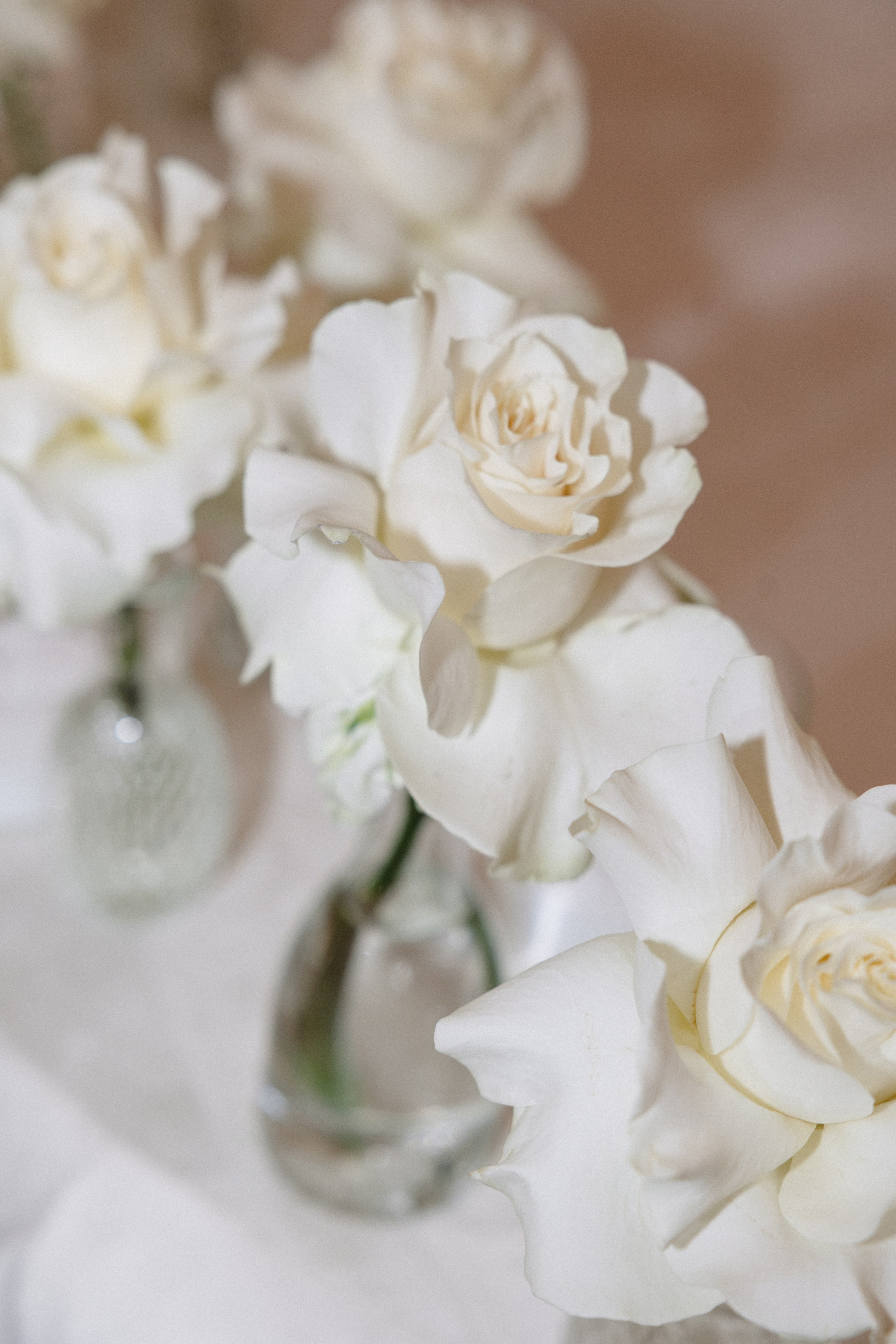 Ксения&Дима. Свадебный фотограф по всей Беларуси Цепелева Анна