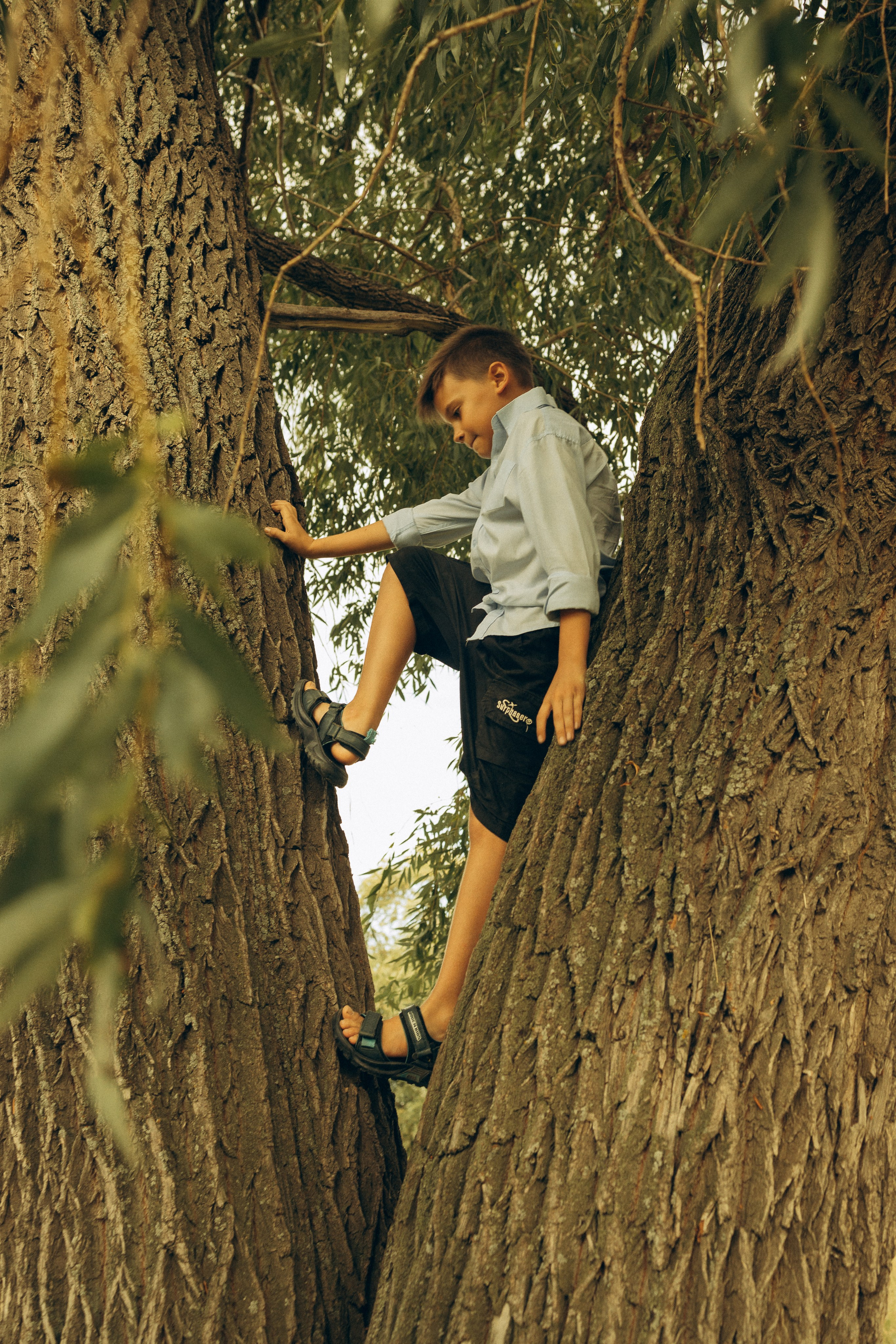 На природе. Семейный фотограф Новосибирск Фотограф на выписку Новосибирск
