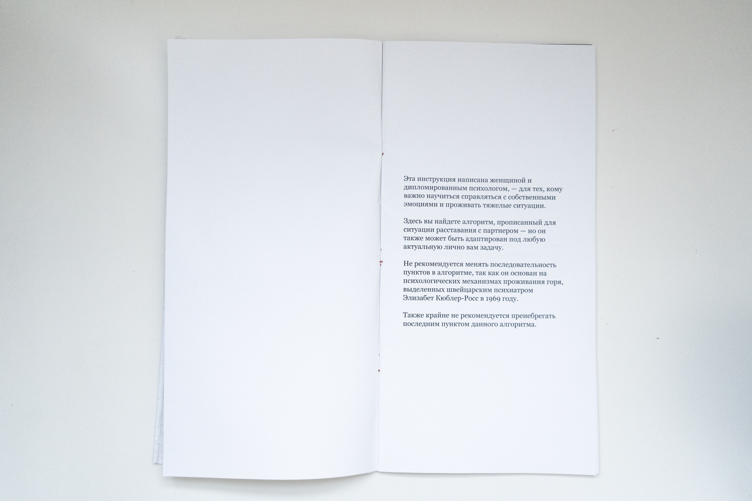 Зин «Как правильно страдать». Козлова Екатерина. Междисциплинарная визуальная художница