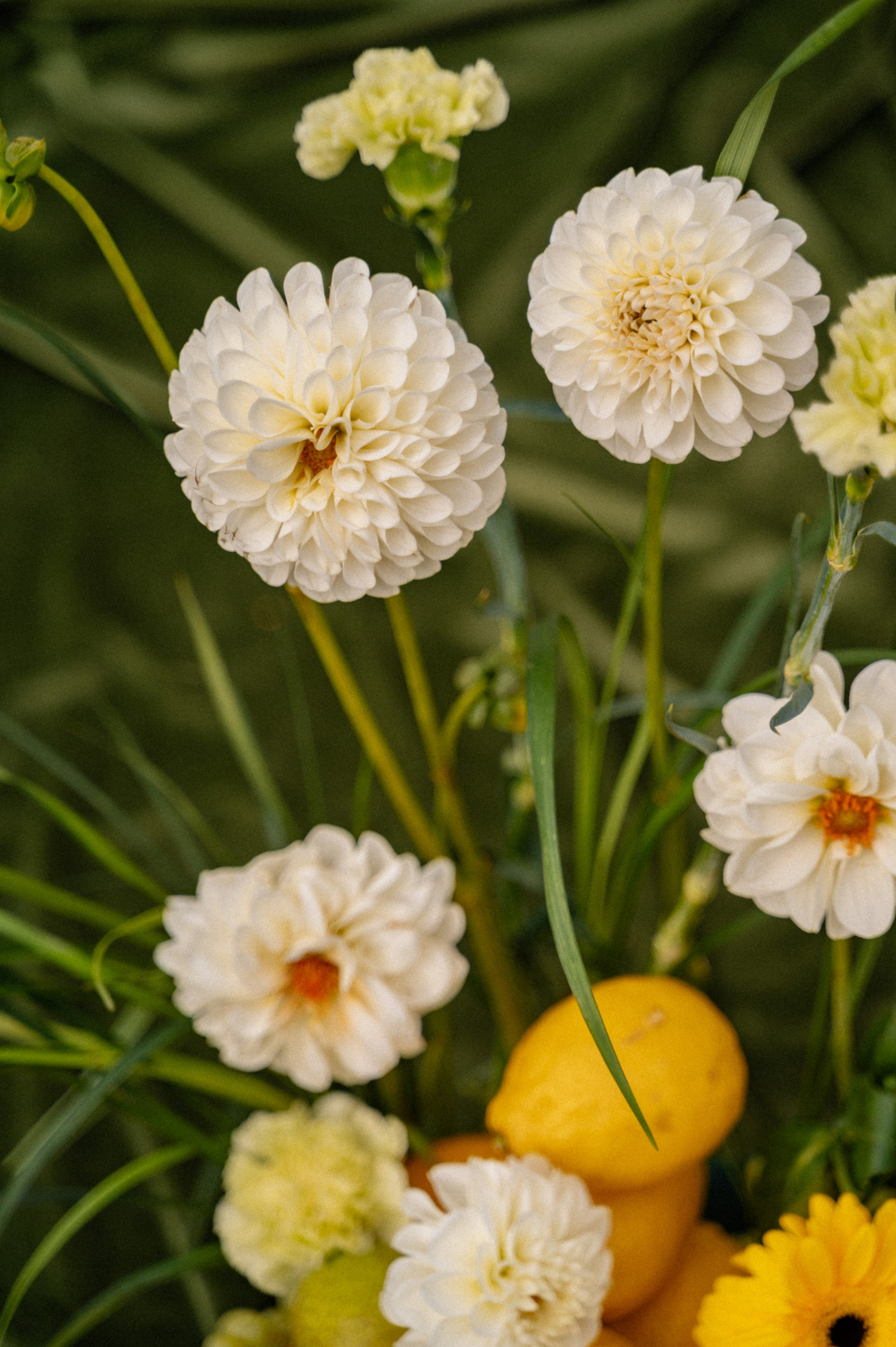 Роман и Виктория. Свадебный и семейный фотограф в Чебоксарах Ирина Левнер