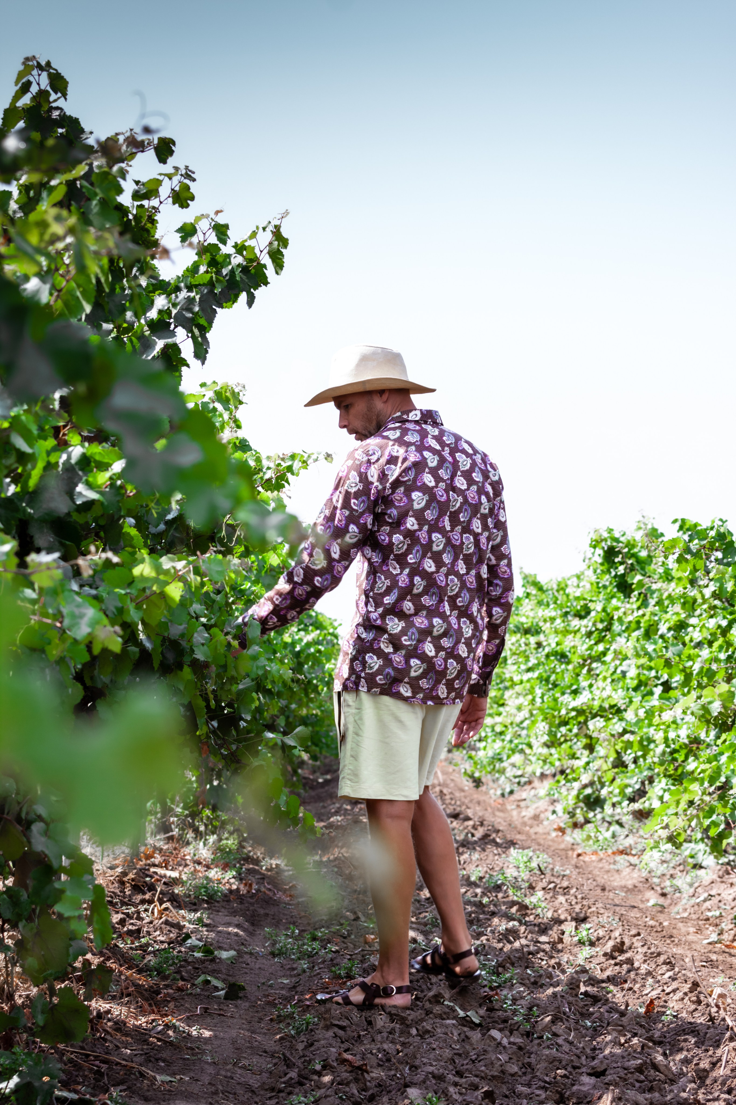 Kuban vineyards. Дария Галямова — фотограф: открытый, творческий, коммерческий