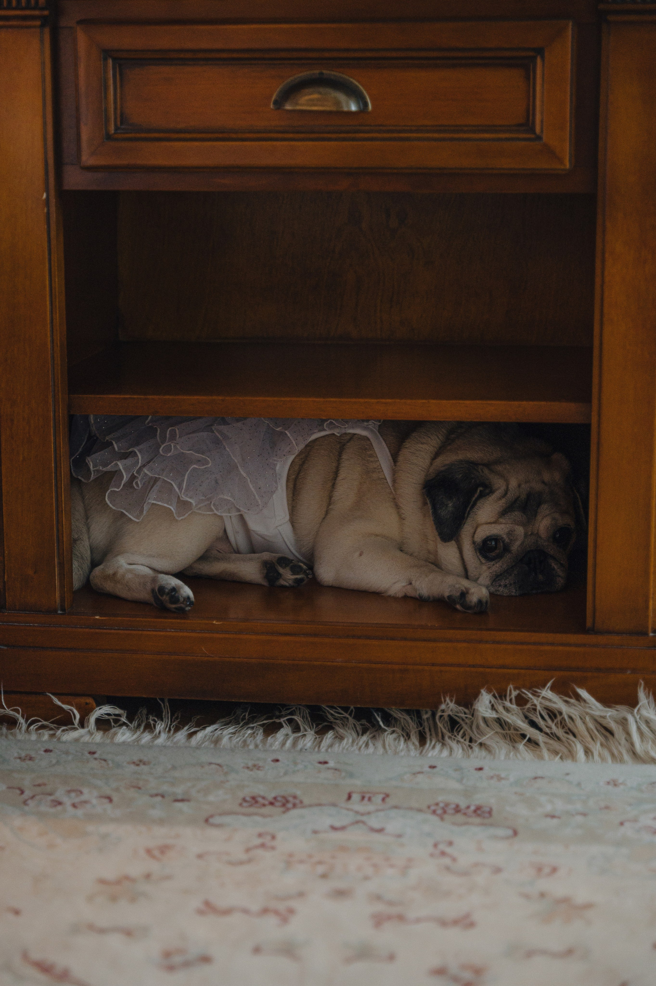 Денис и Анастасия. Метрополь и Особняк Спиридонова. Свадебный фотограф Москва и Санкт-Петербург. Анастасия Чудина