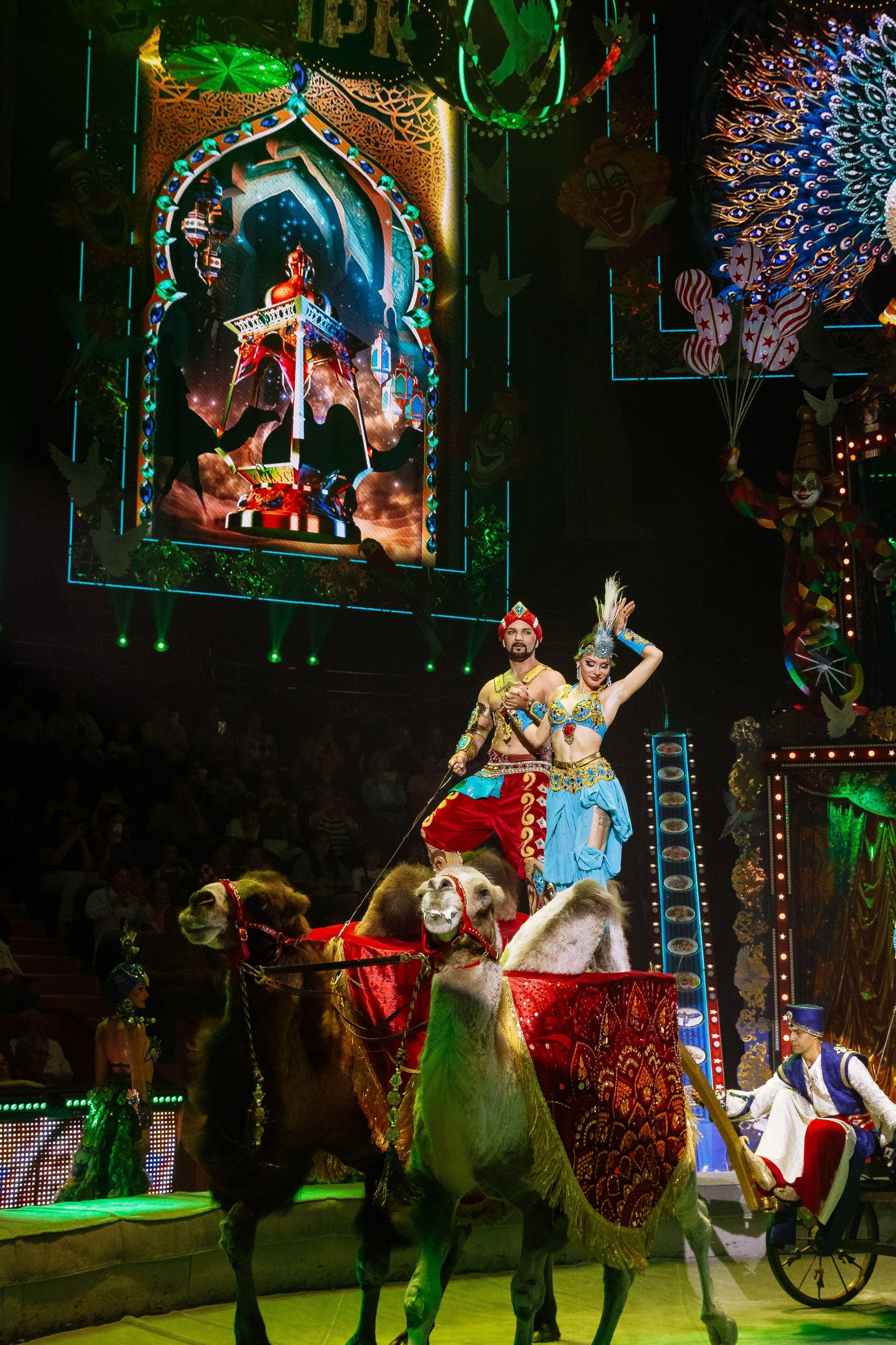 Сочинский росгорцирк Шоу Гии Эрадзе цирк. Профессиональный фотограф в Сочи Виктория Джой. Обучение