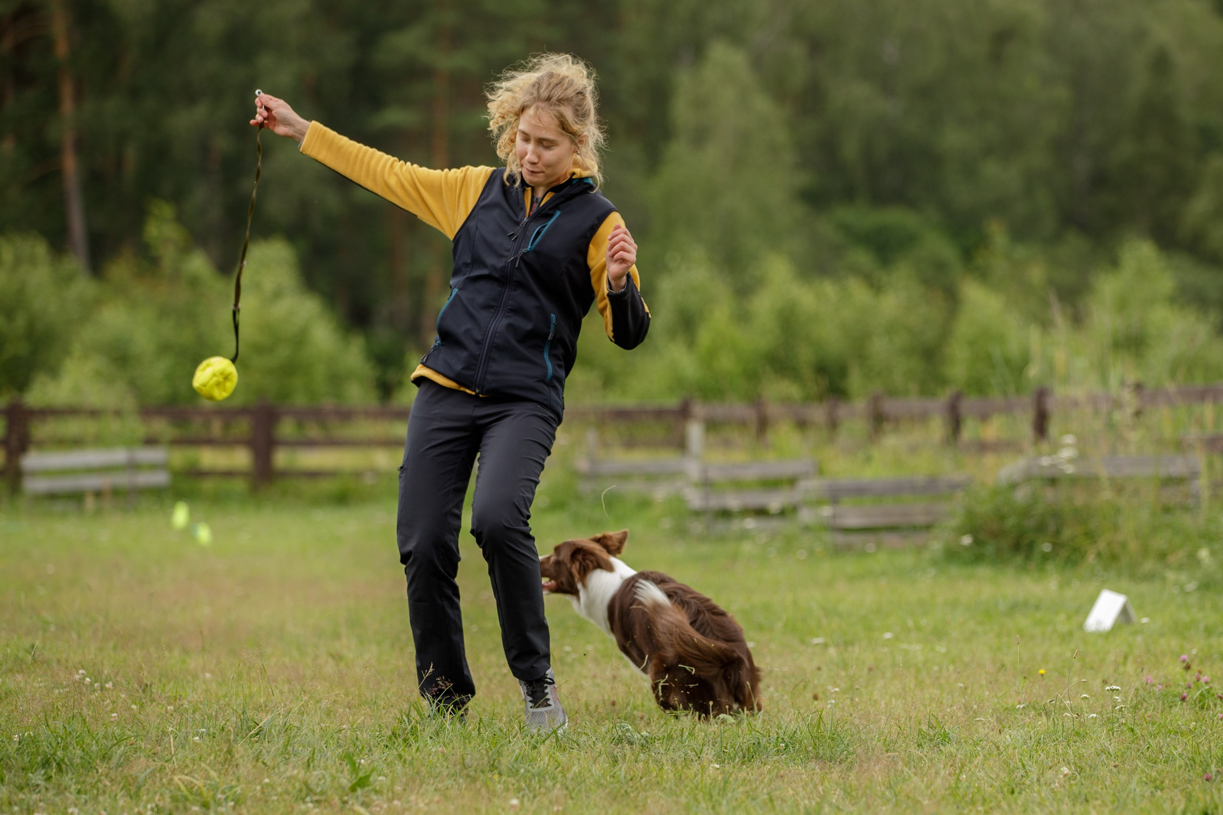 Лиза и Эни. Тренировка в лагере по обидиенс. Фотограф-анималист в Калуге Мария Шерскова