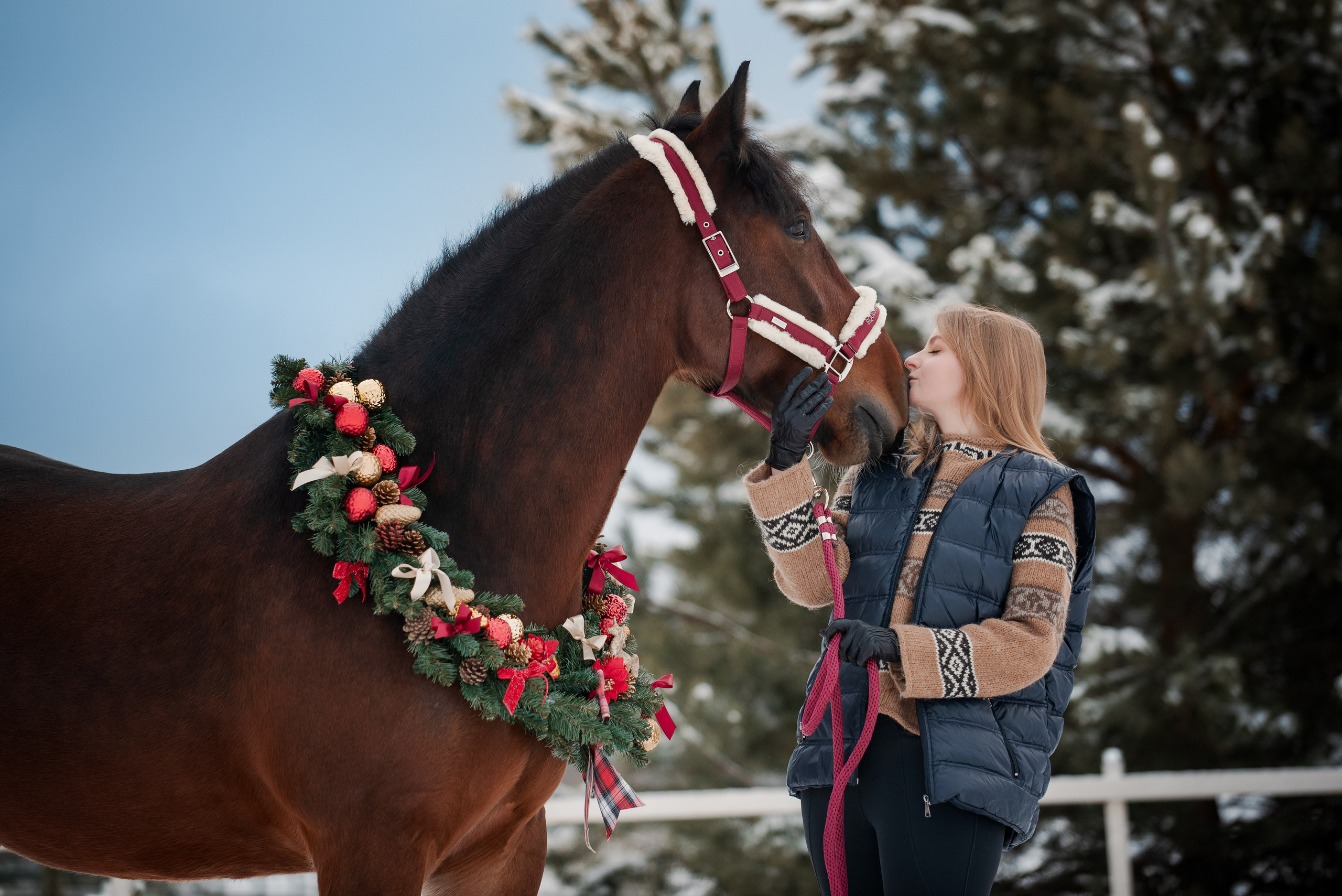 Зимний Настасьин табун. Куракина Дарья • Конный фотограф