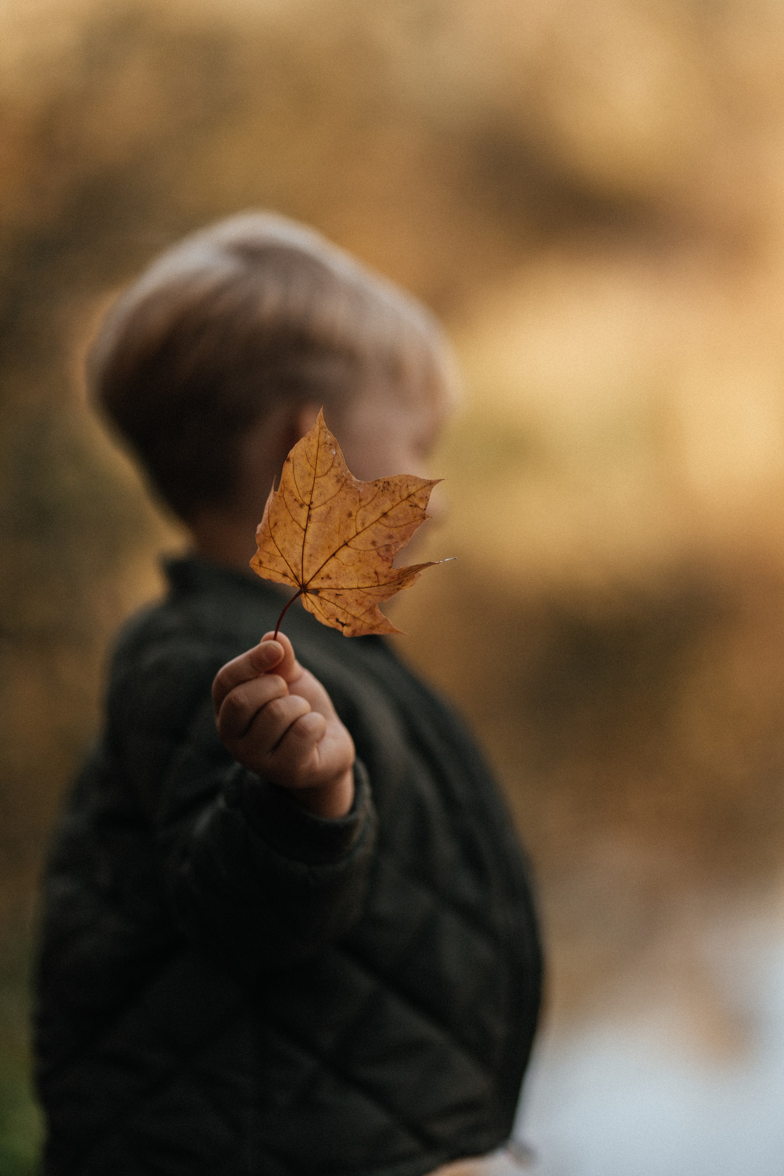 Дима, Юля и Костя. Фотограф в Нижнем Новгороде Панфилова Татьяна